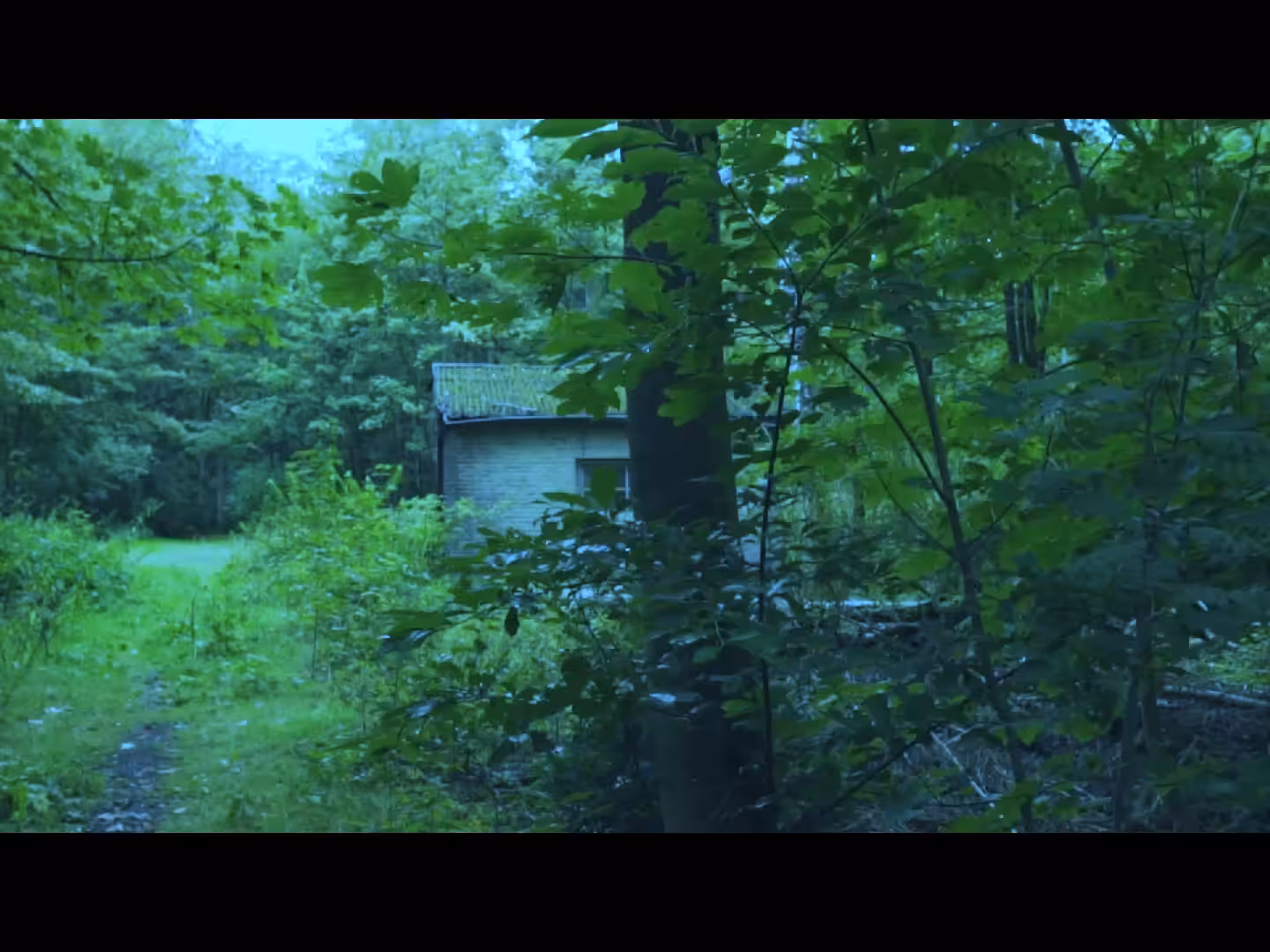 Backwoods