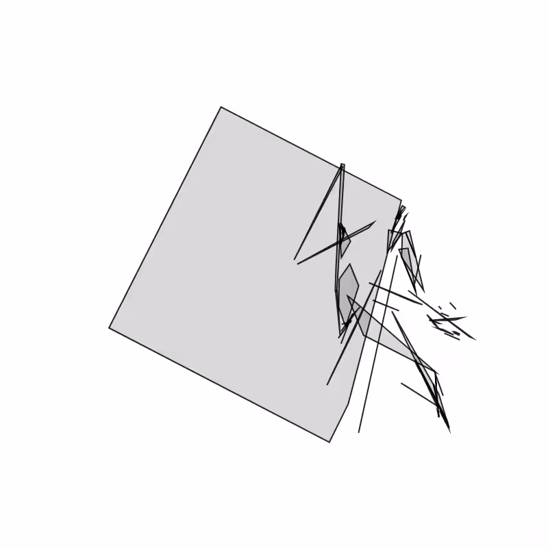 Fracture #220