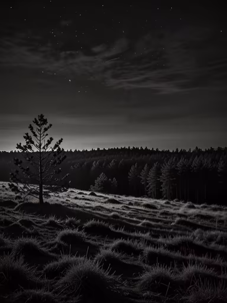 The Happy Valley: Starry sky