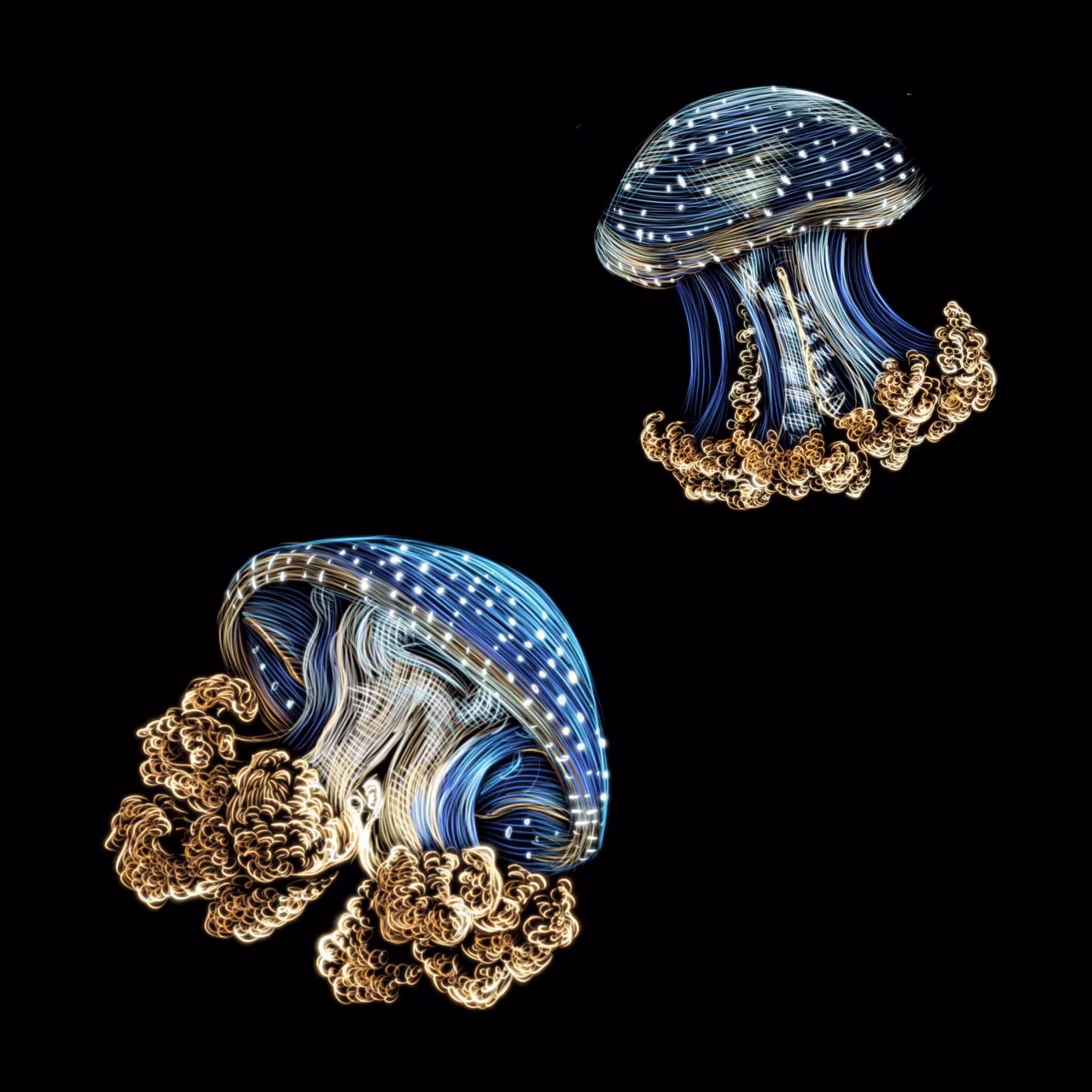 Spotted Jellyfish