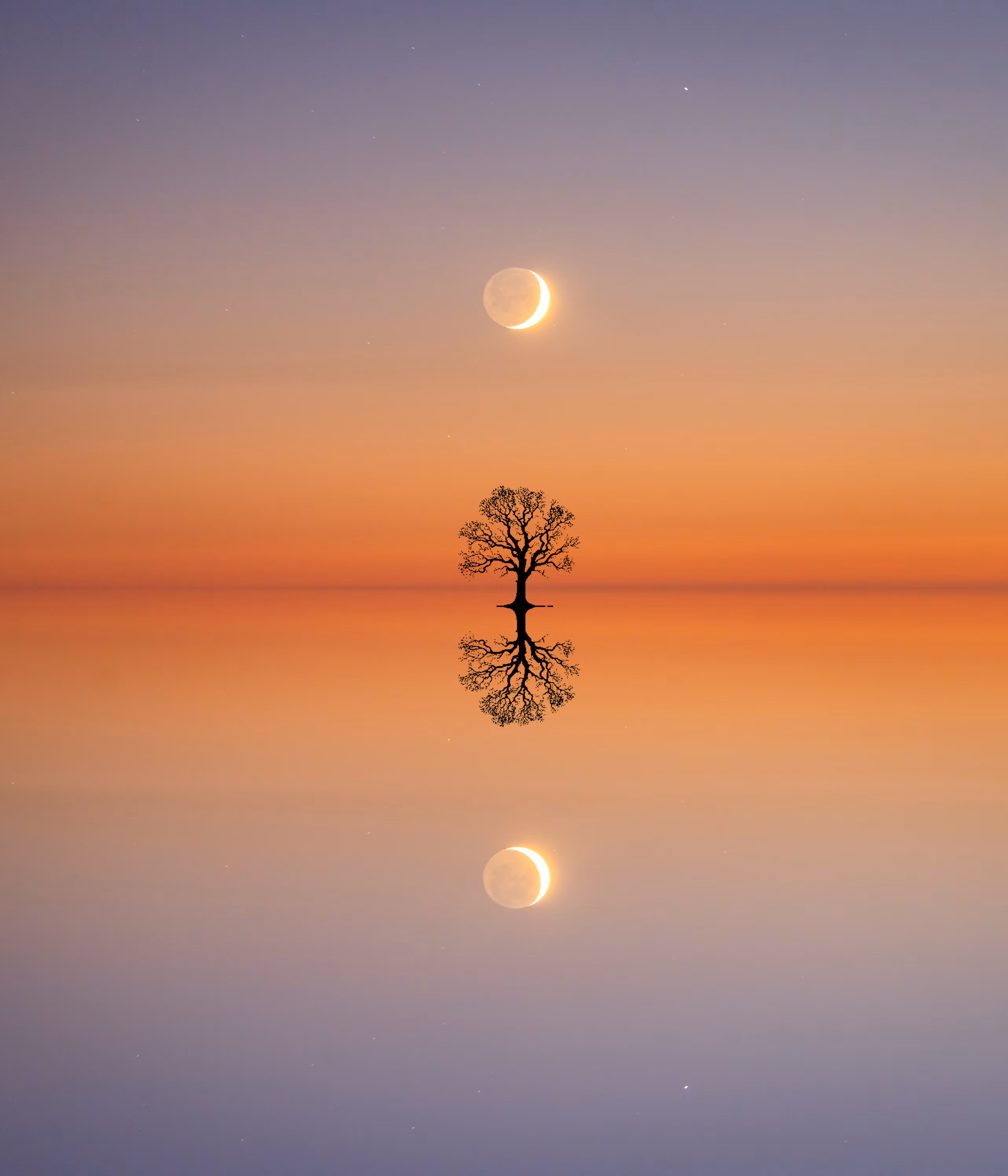 mirrored 4