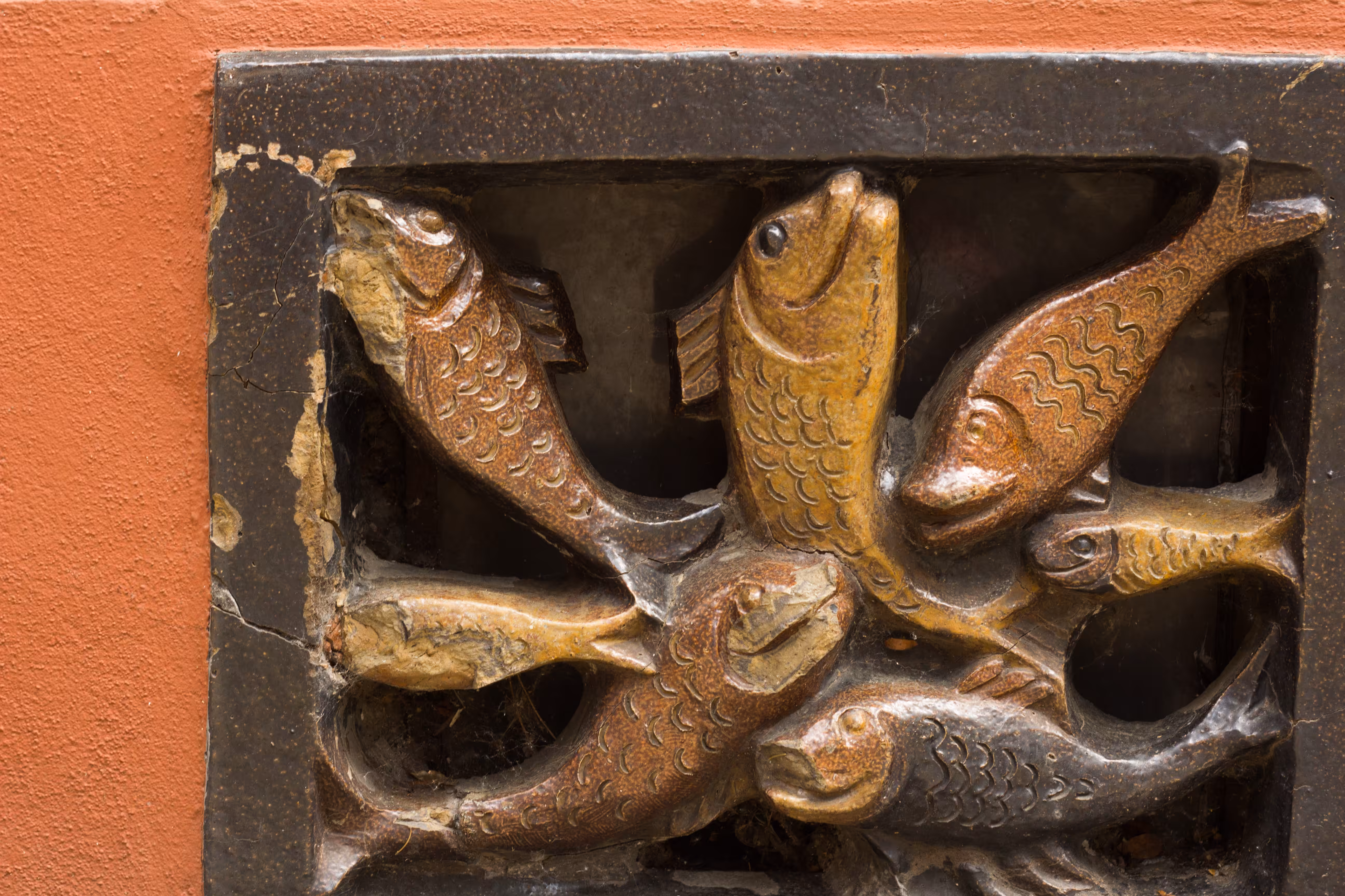 fish