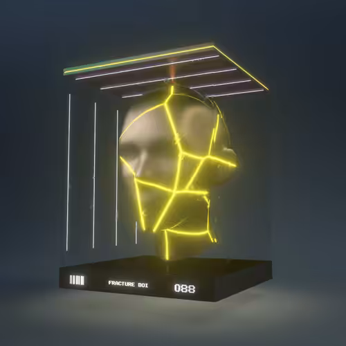 Fracture Boi: FRACTURE BOI - 088