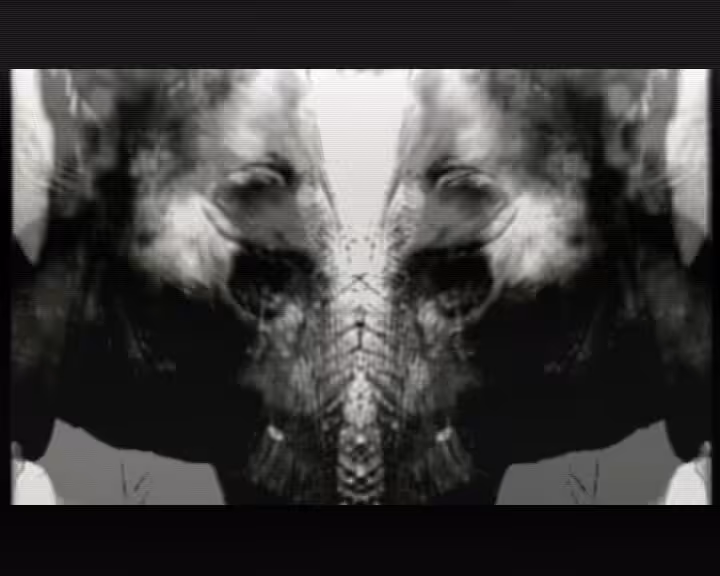 Phantomorph1