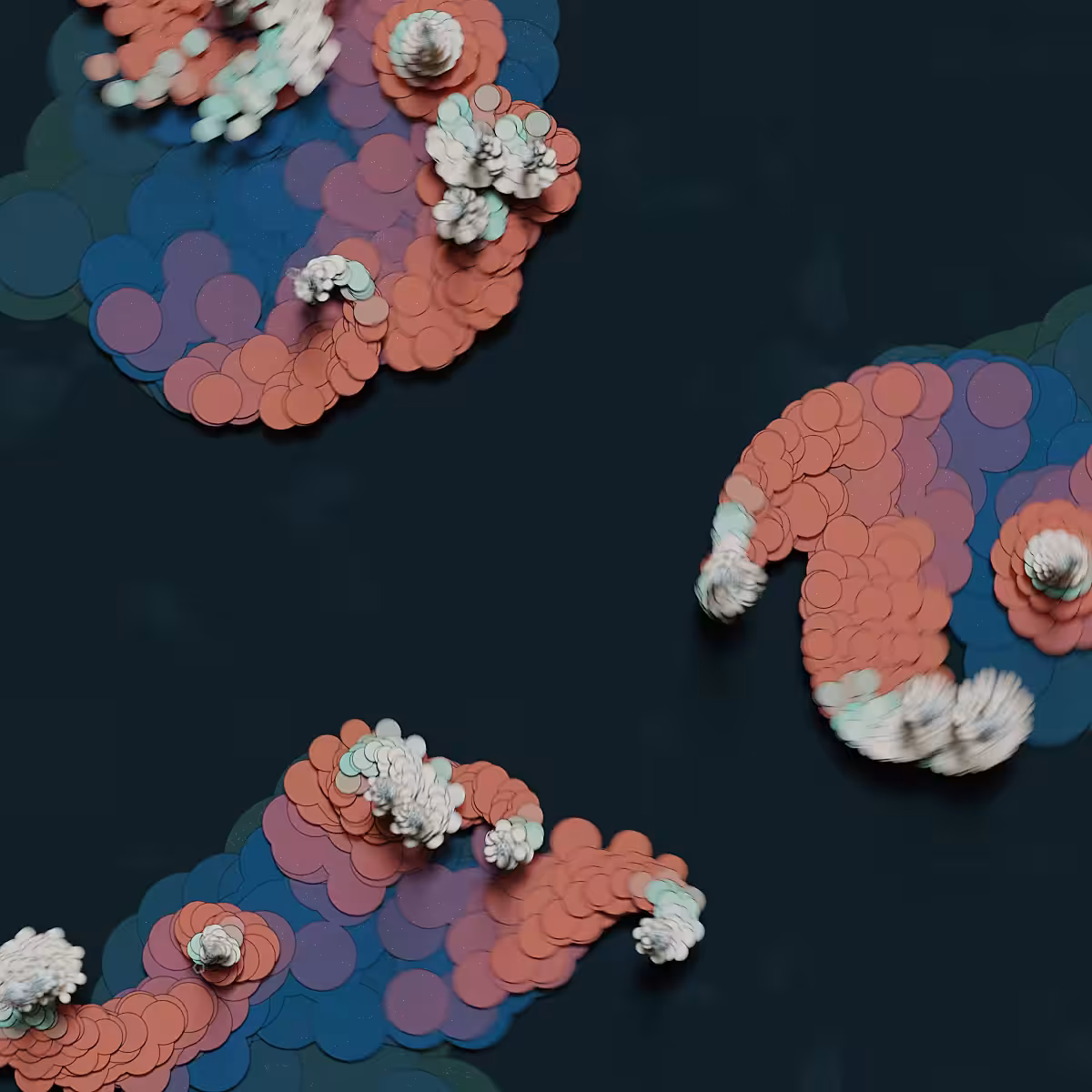 Amoeba Movement