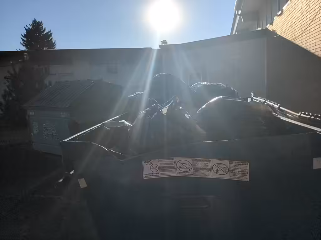 God's Trashy Starlight
