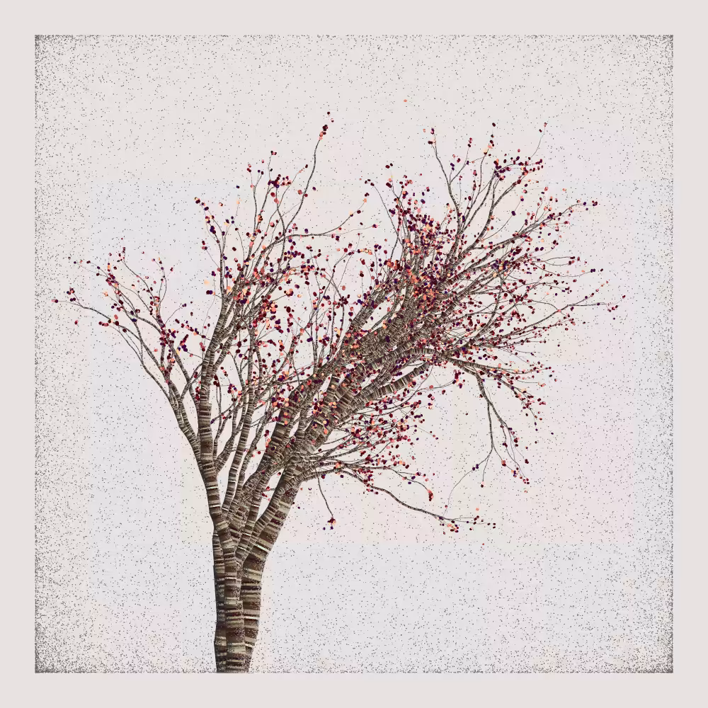 Bougainvillea #124