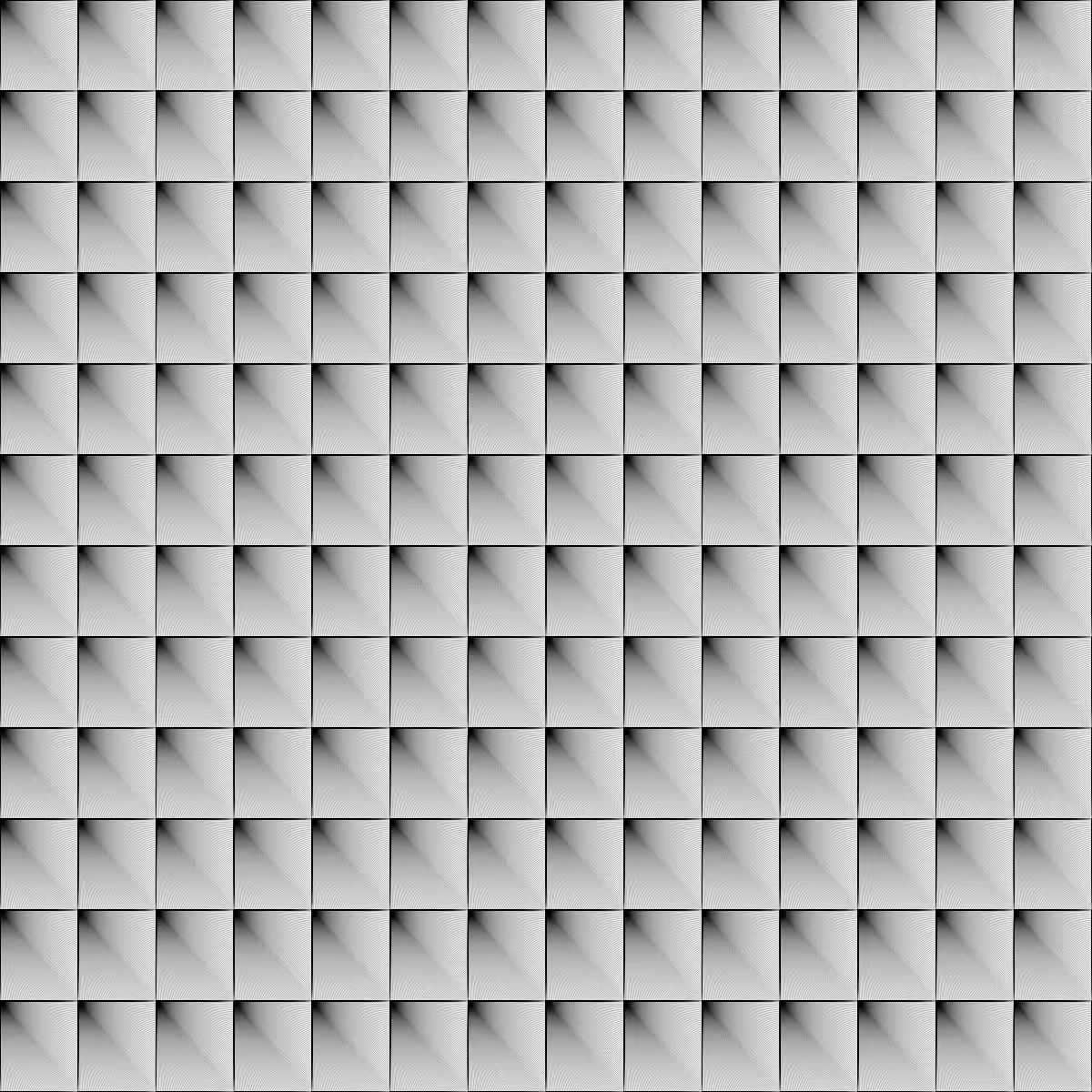 Noir et Blanc #64