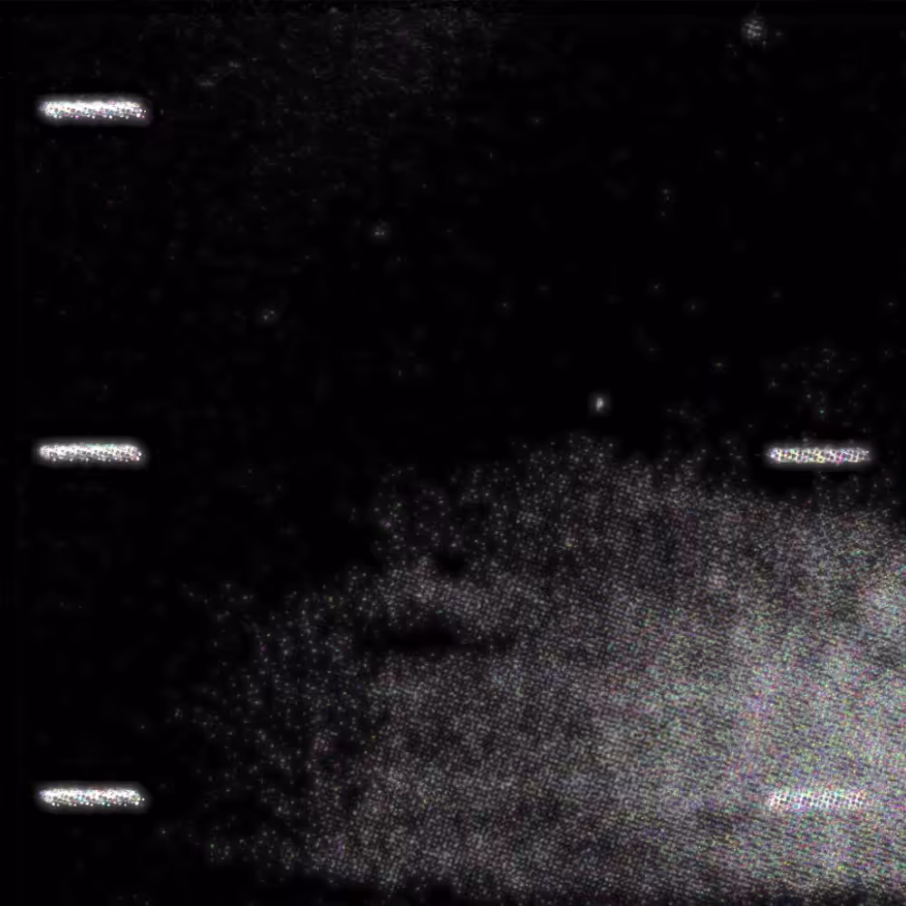 pulsar #1