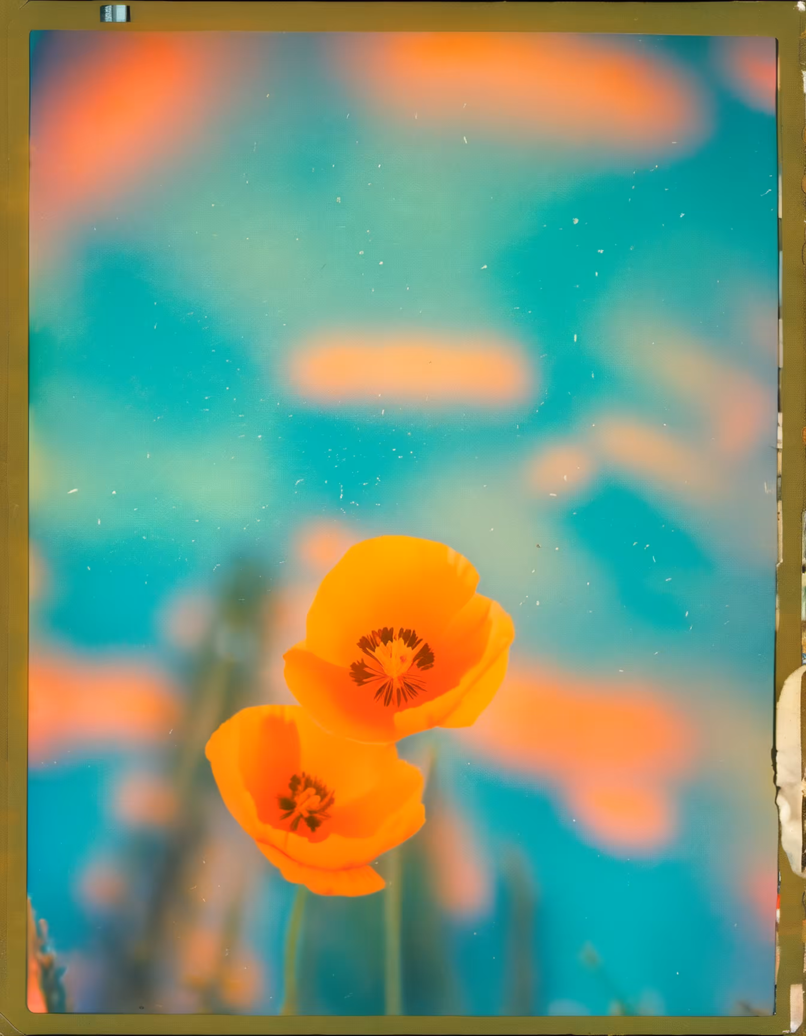 Utopian Hallucinations #22