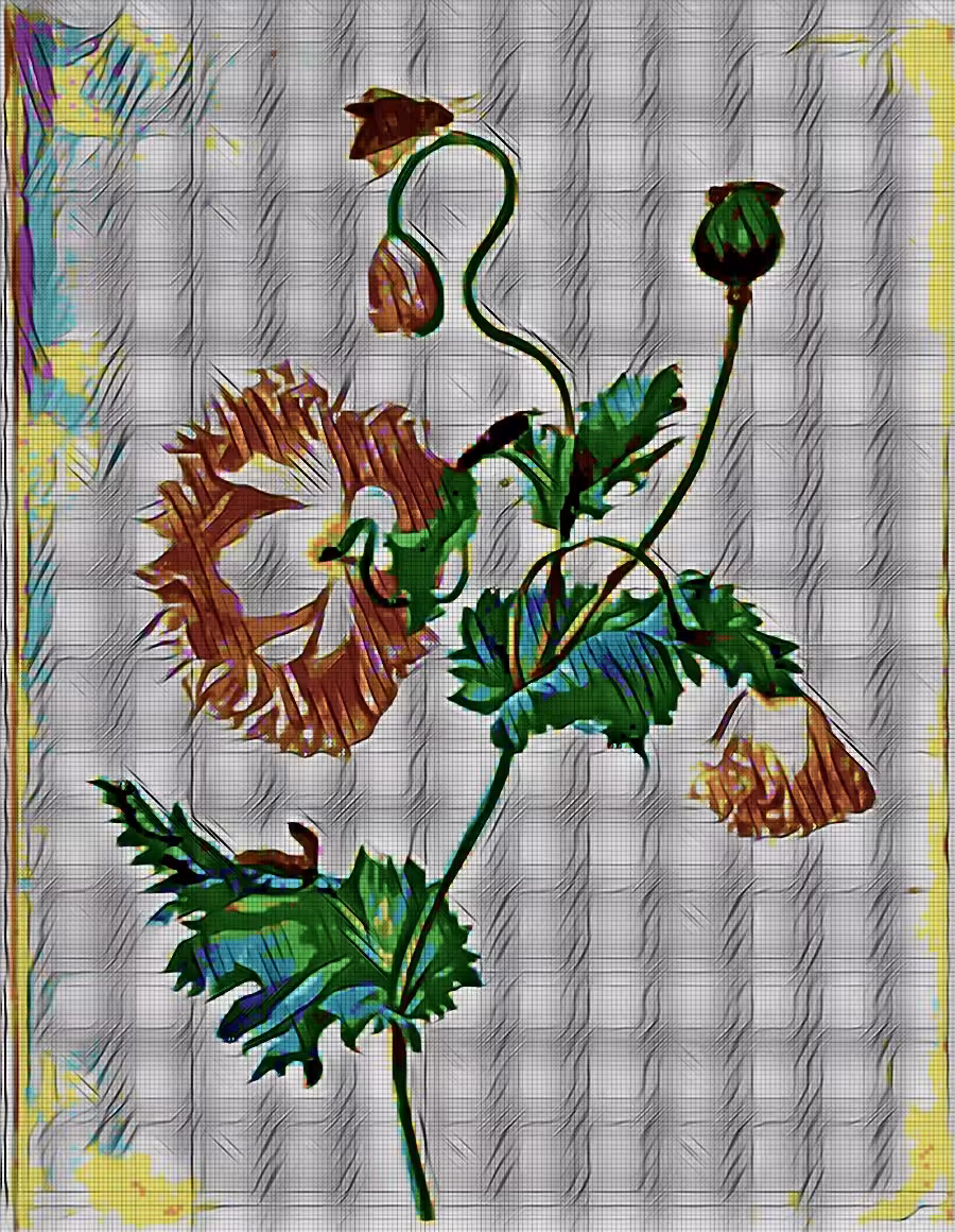 Floratic