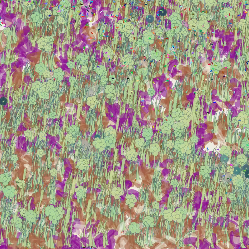 Petri 1500 #799