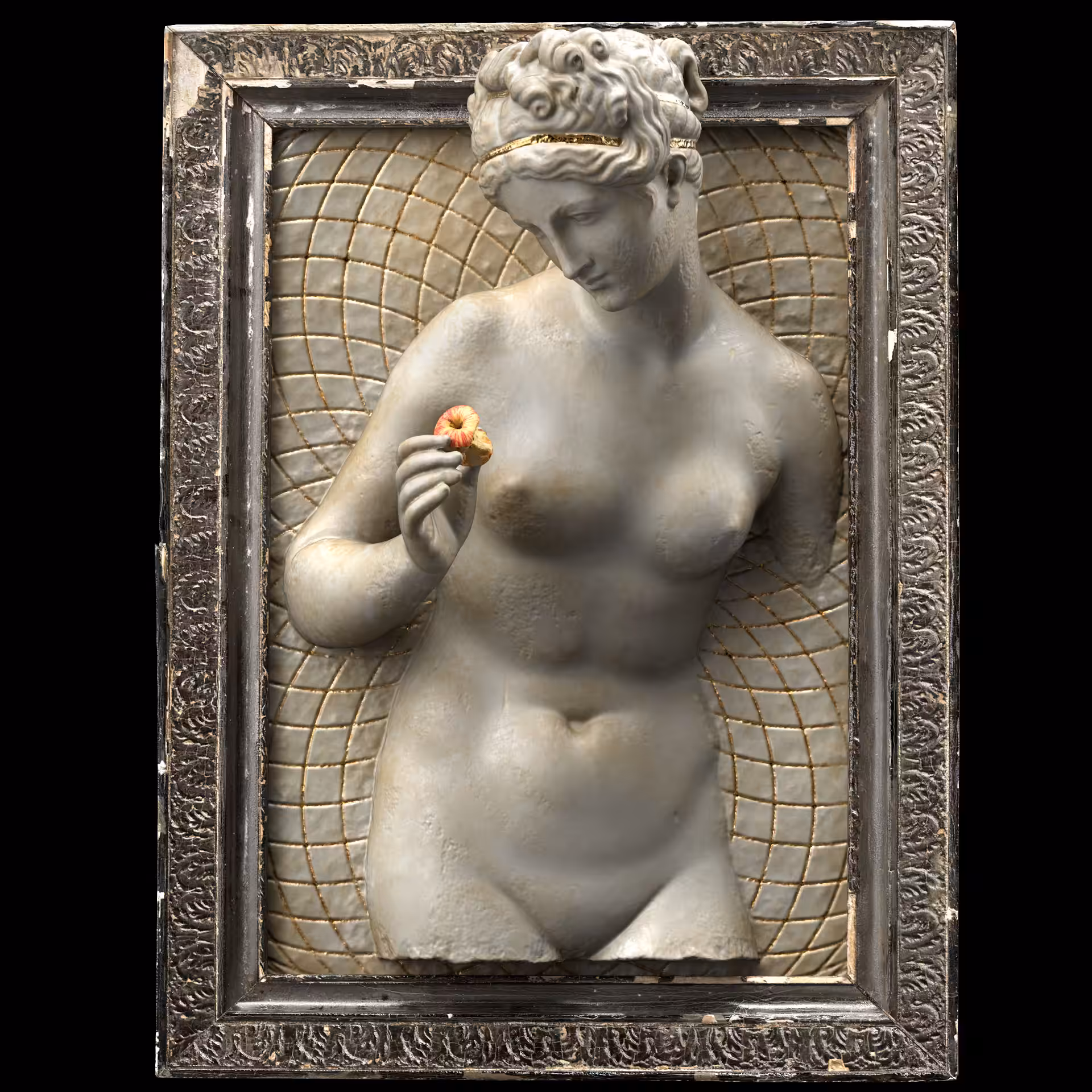 Venus and Decay