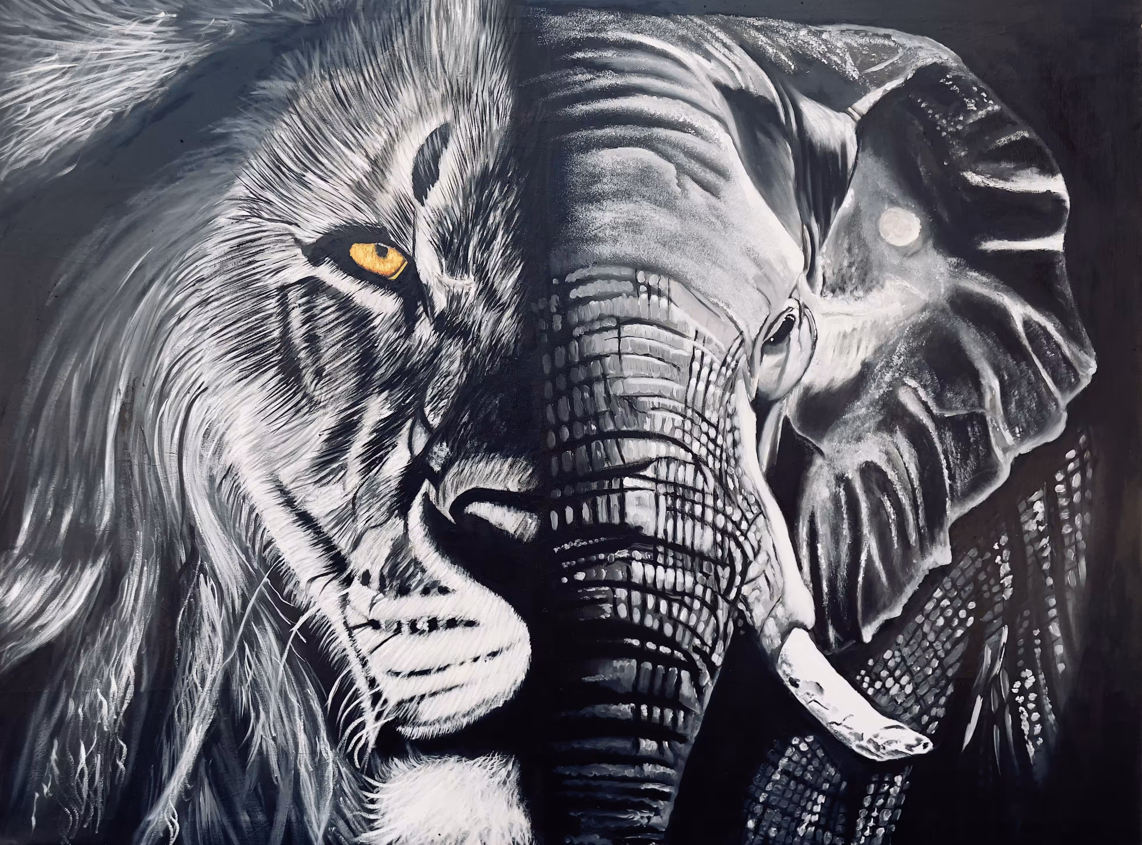 WE ARE KINGS