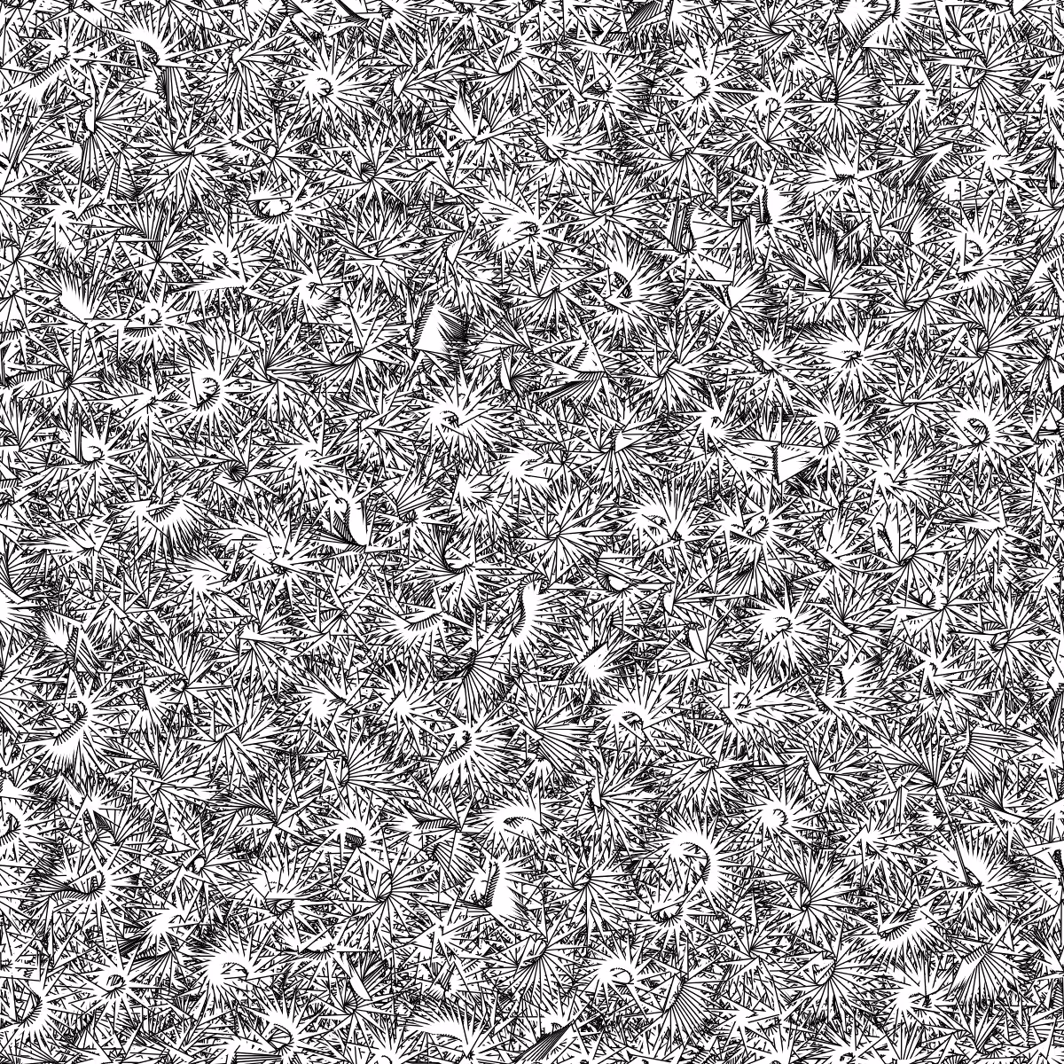 Fantacy Carpet #63