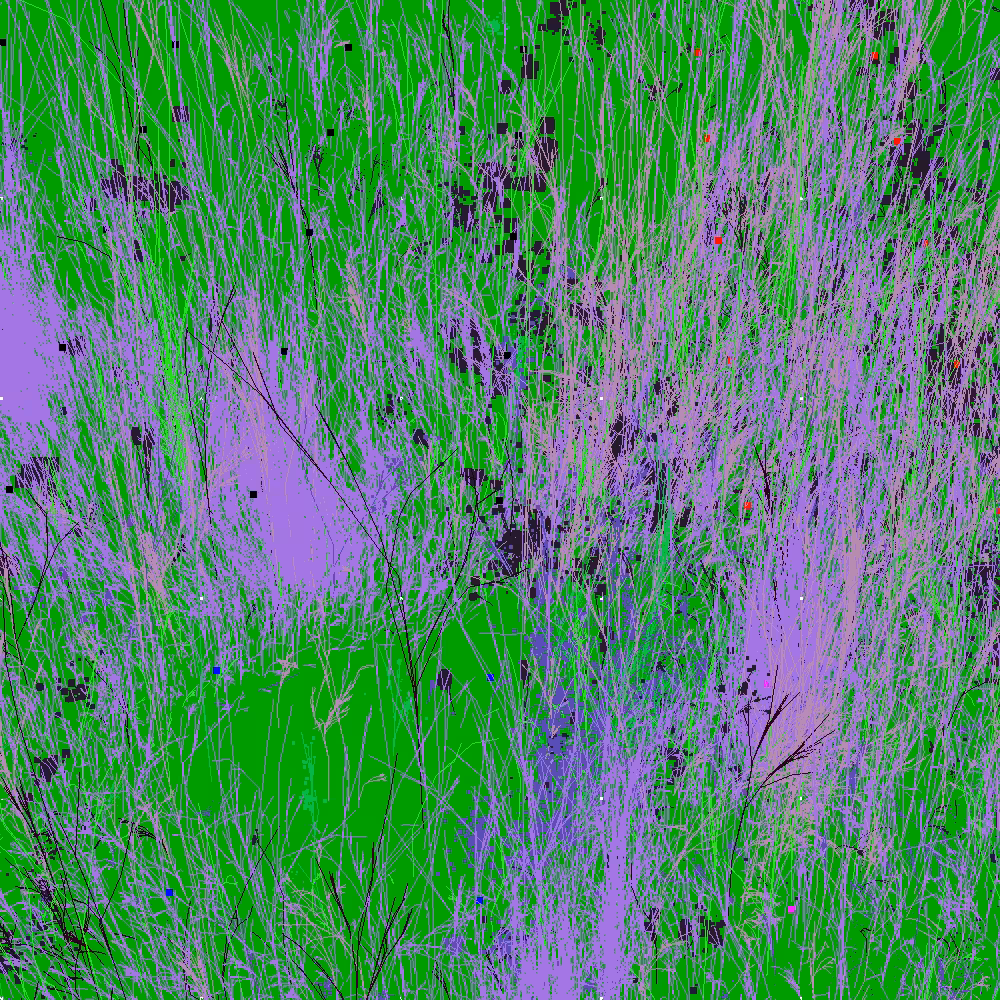 Infinite Garden: 36702 Flowers