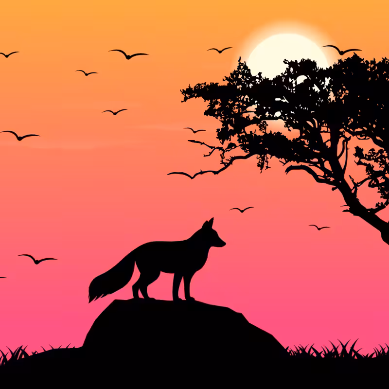 We Care...Fox #6