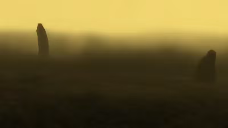 DX01: SINGULARITY 01106