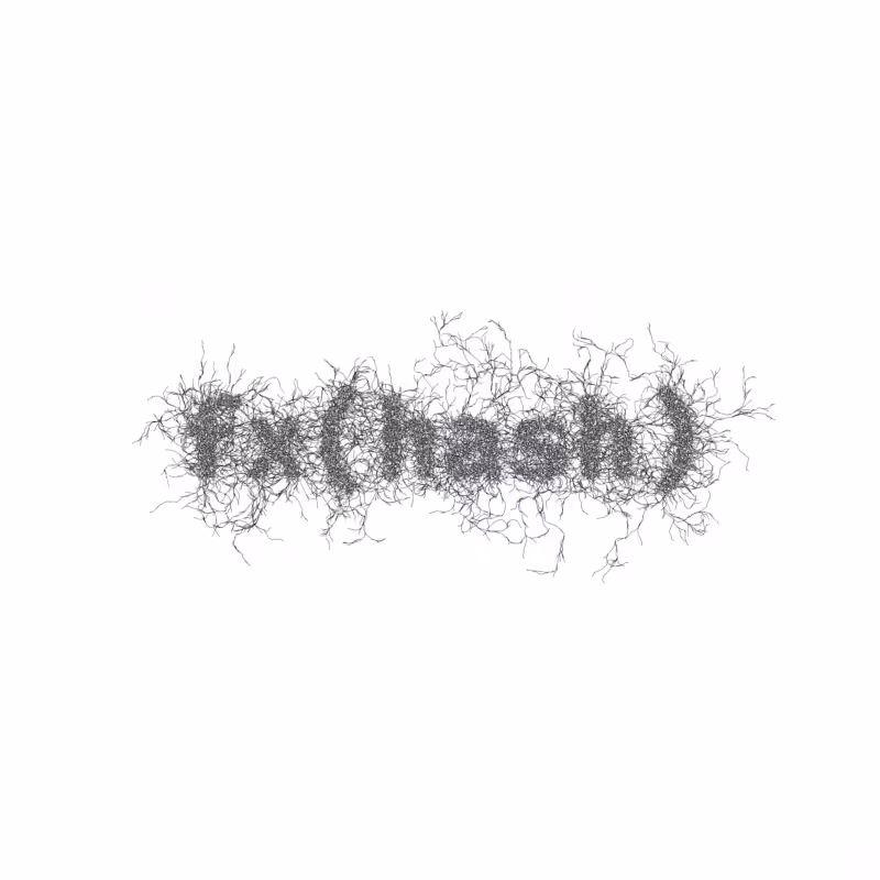 FXHASH Logo with Features #615