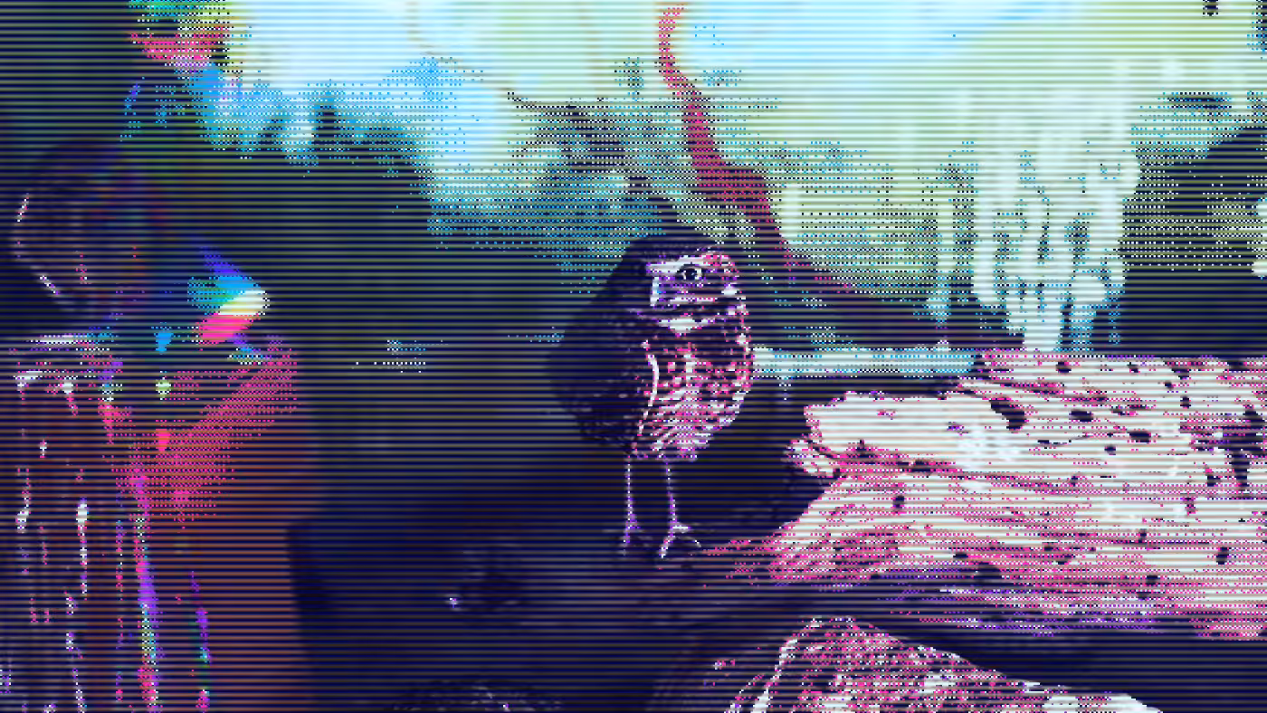 the owl