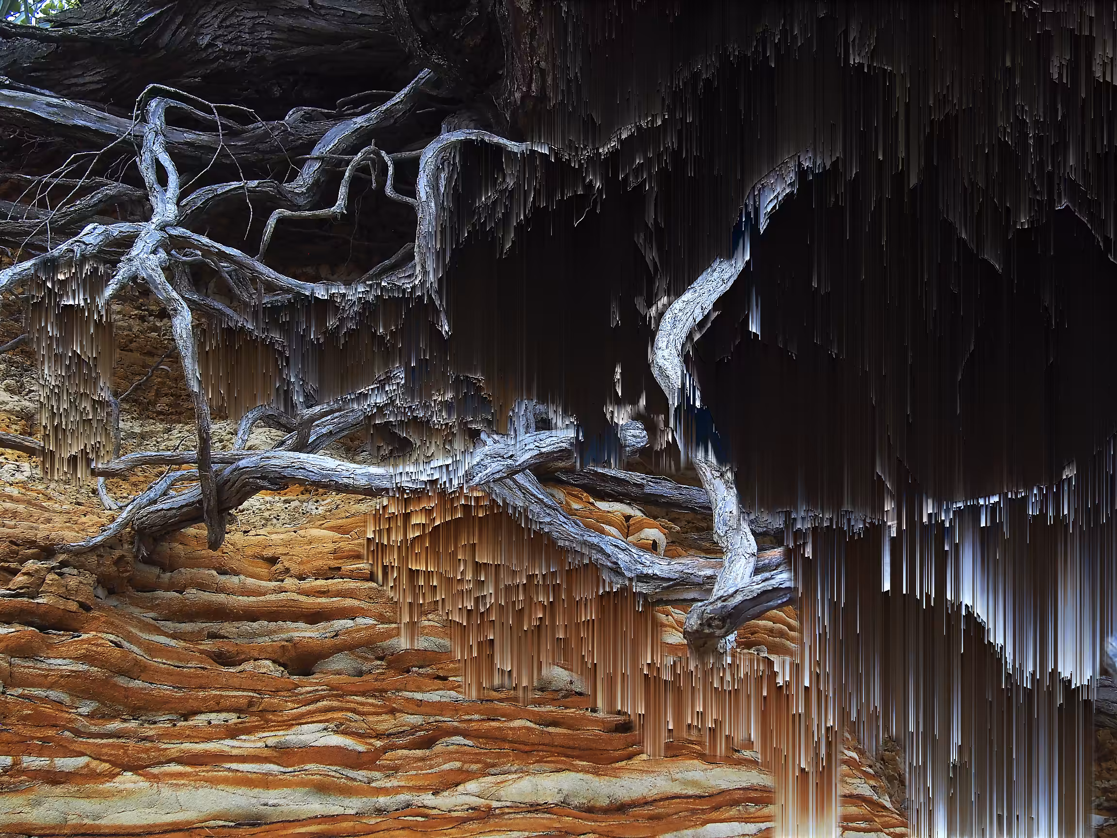 Roots Pixel Sort 4