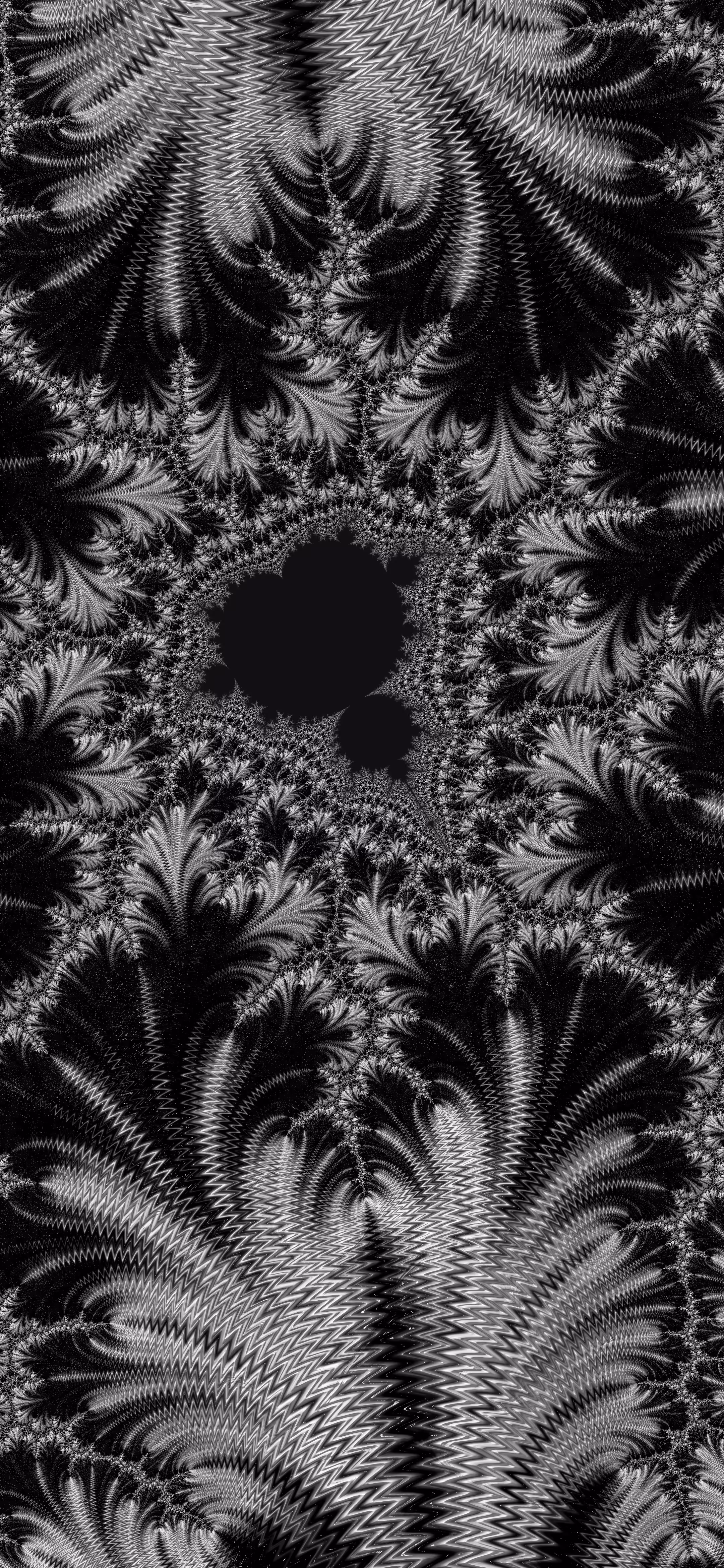 Monochrome fractal 