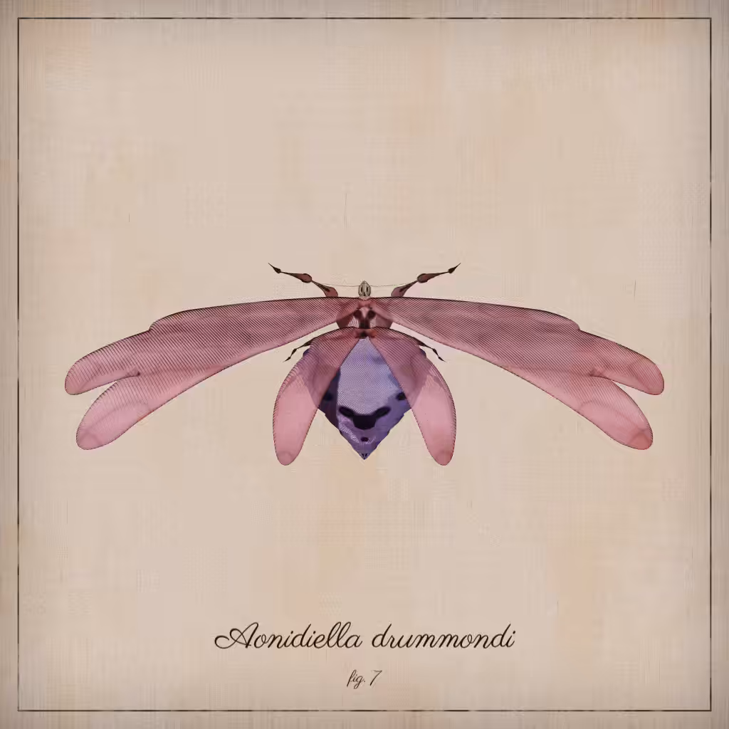 ProcGen Entomology #164