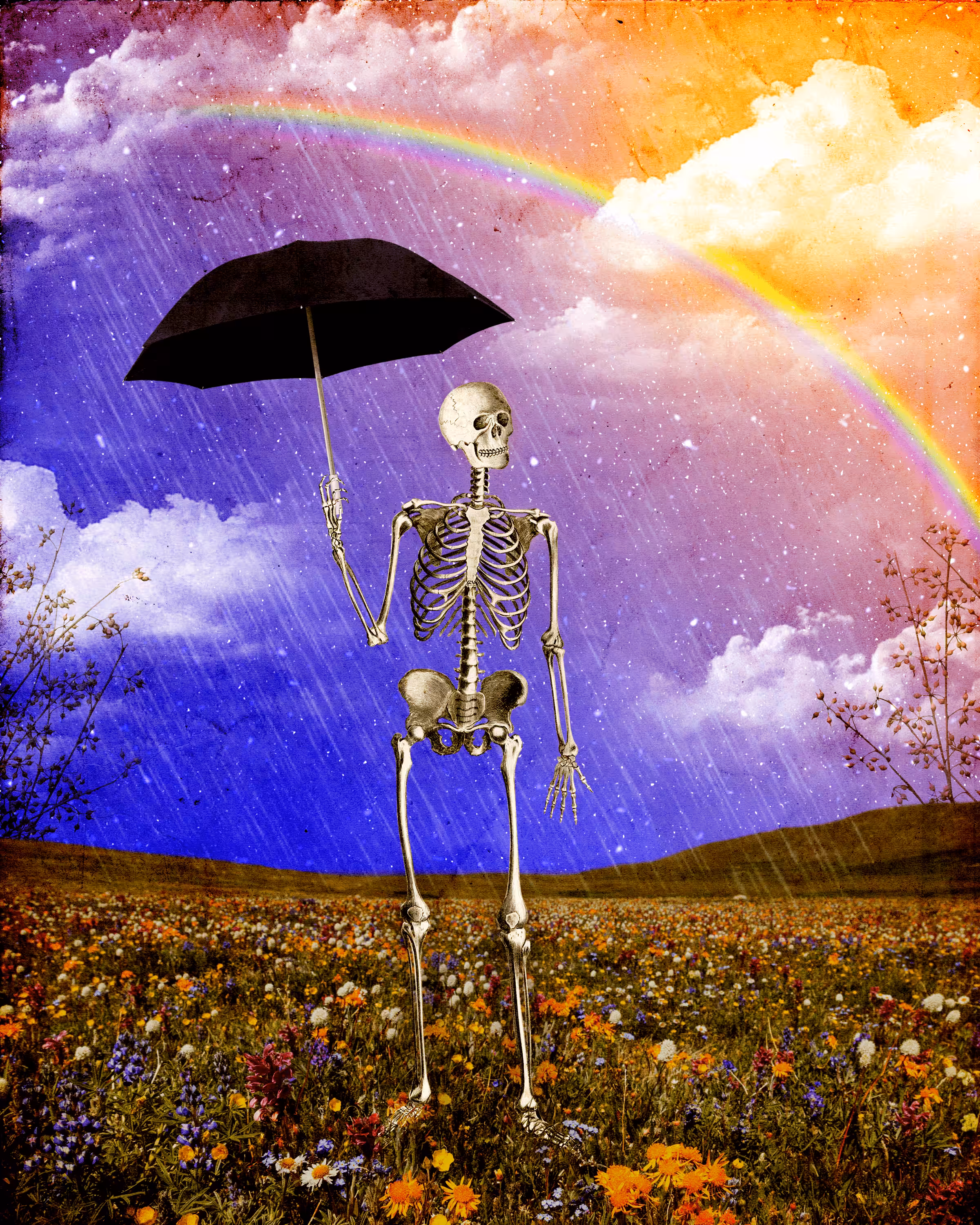 Optimist