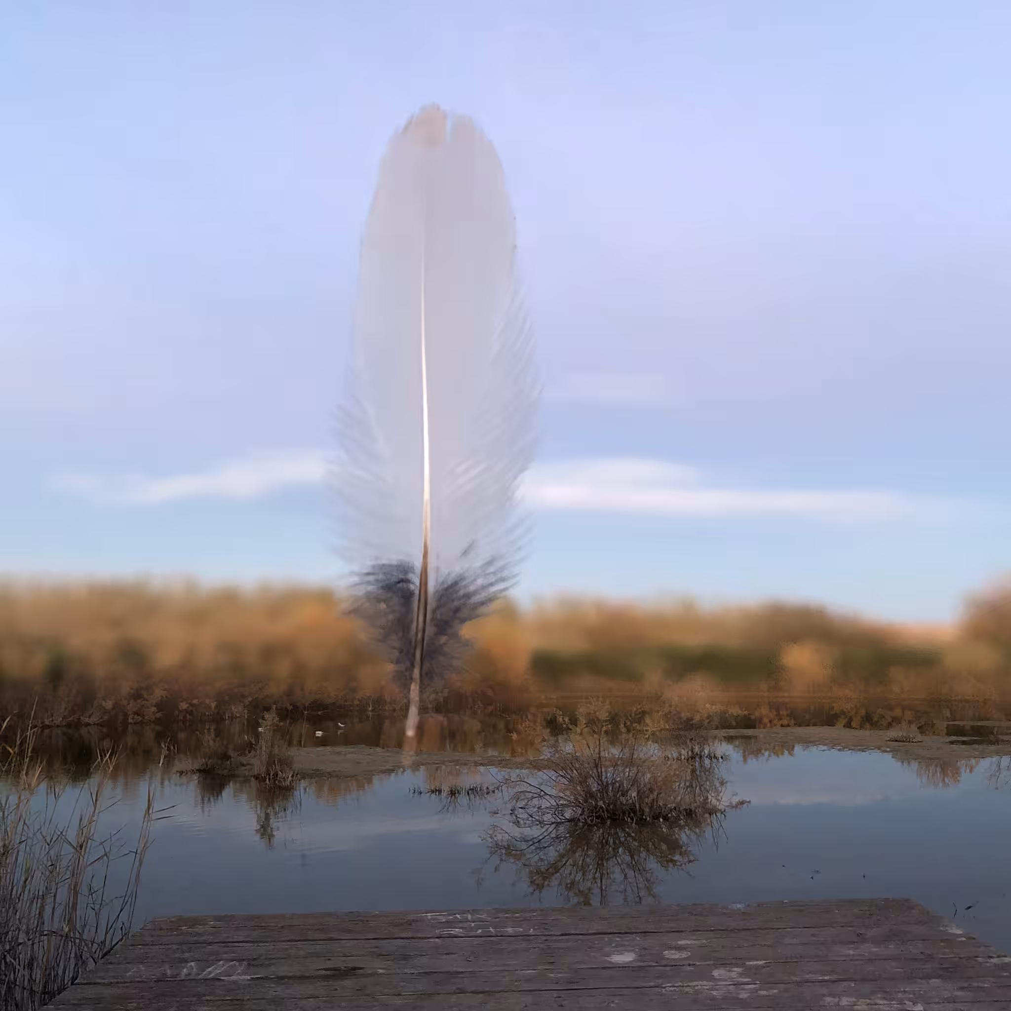 support the OikaSpain Art with Nature project 38.1725 -0.7764