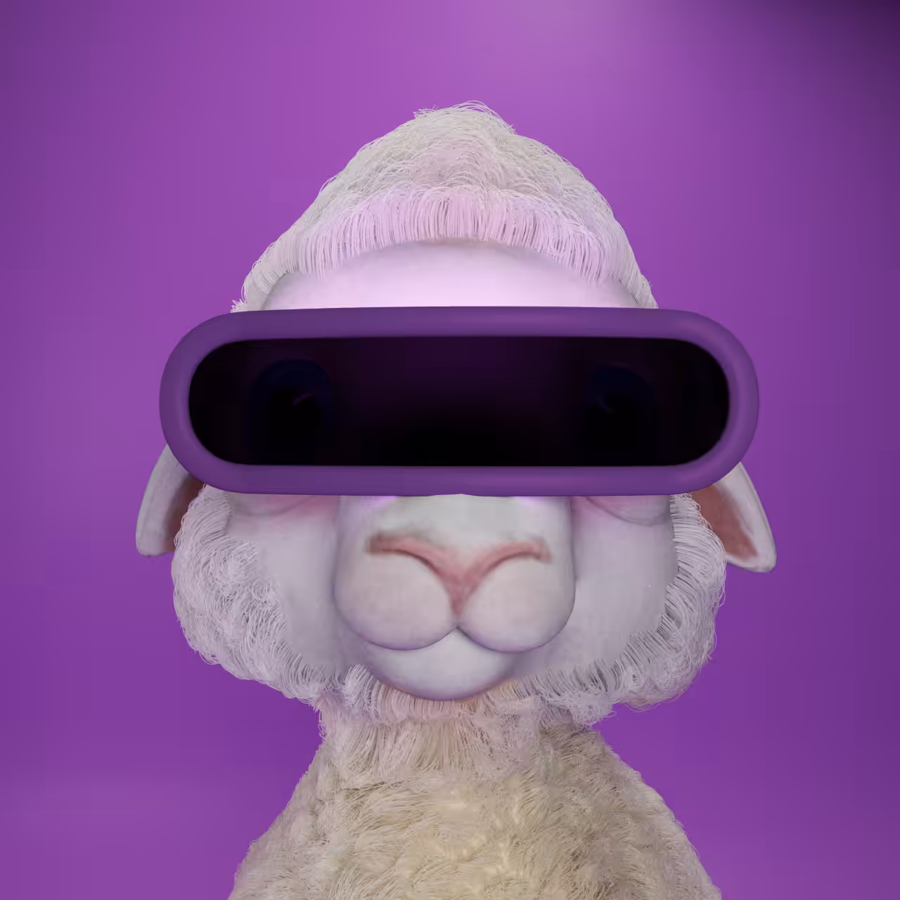 The sheep #010