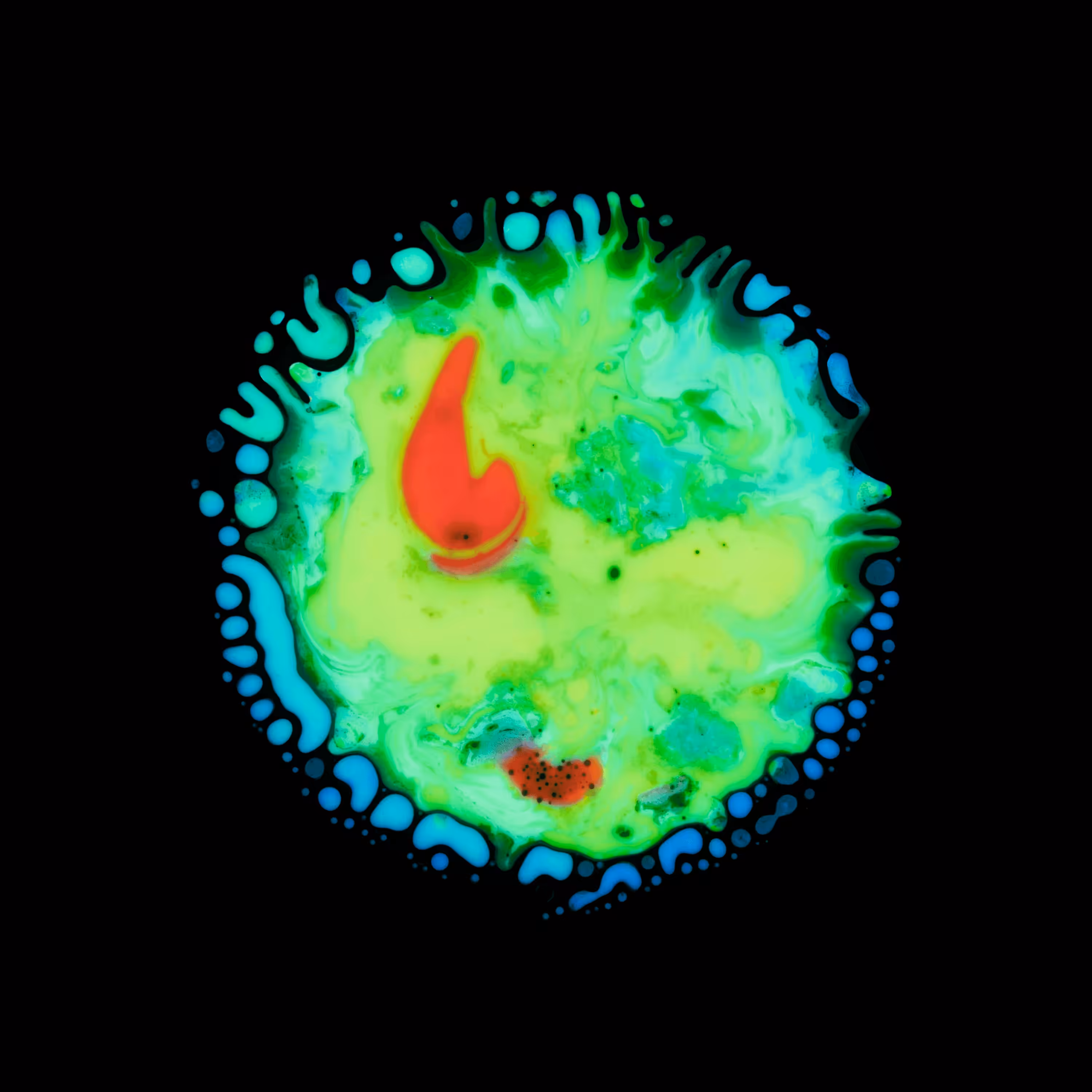 Haematopoiesis #10
