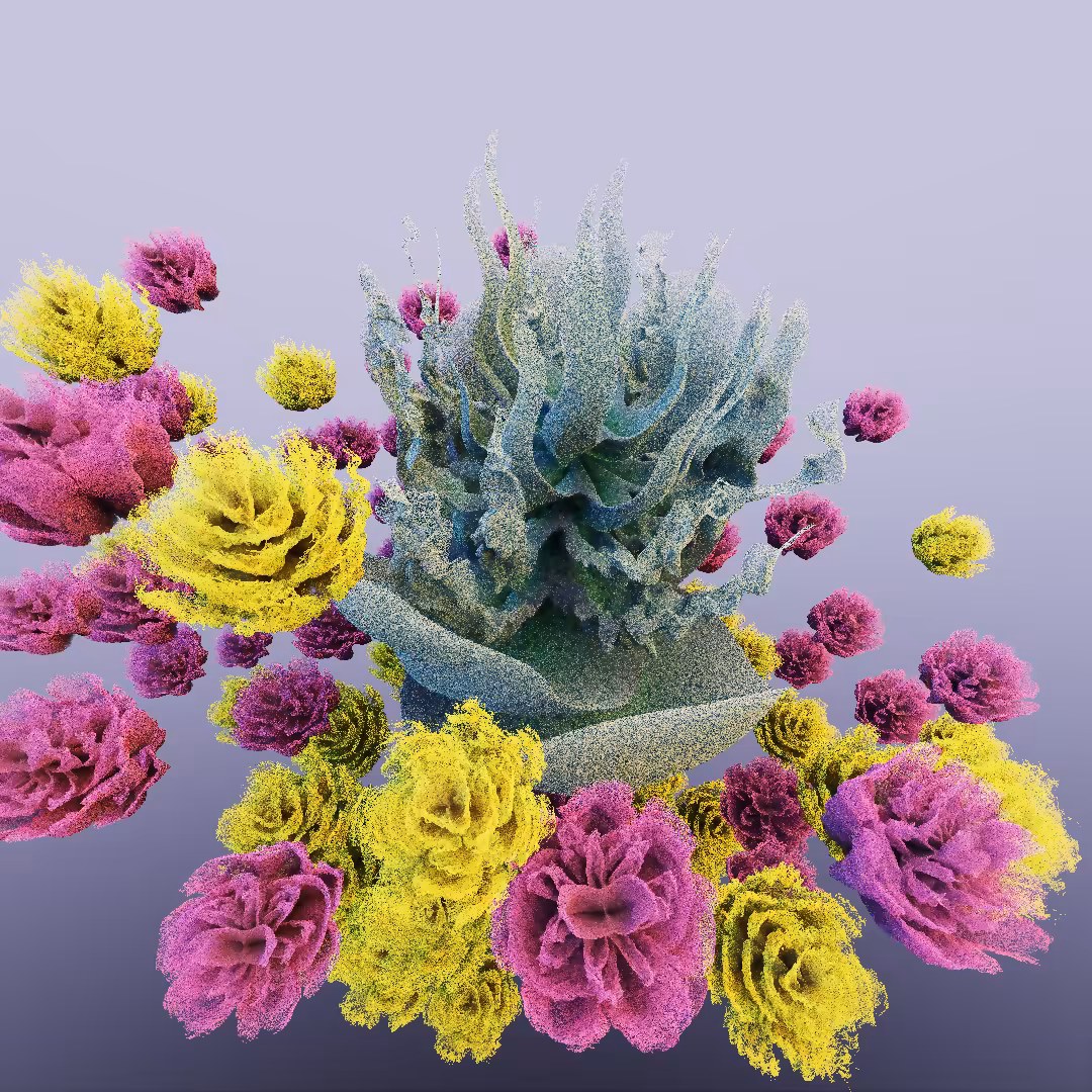 rosarium #161