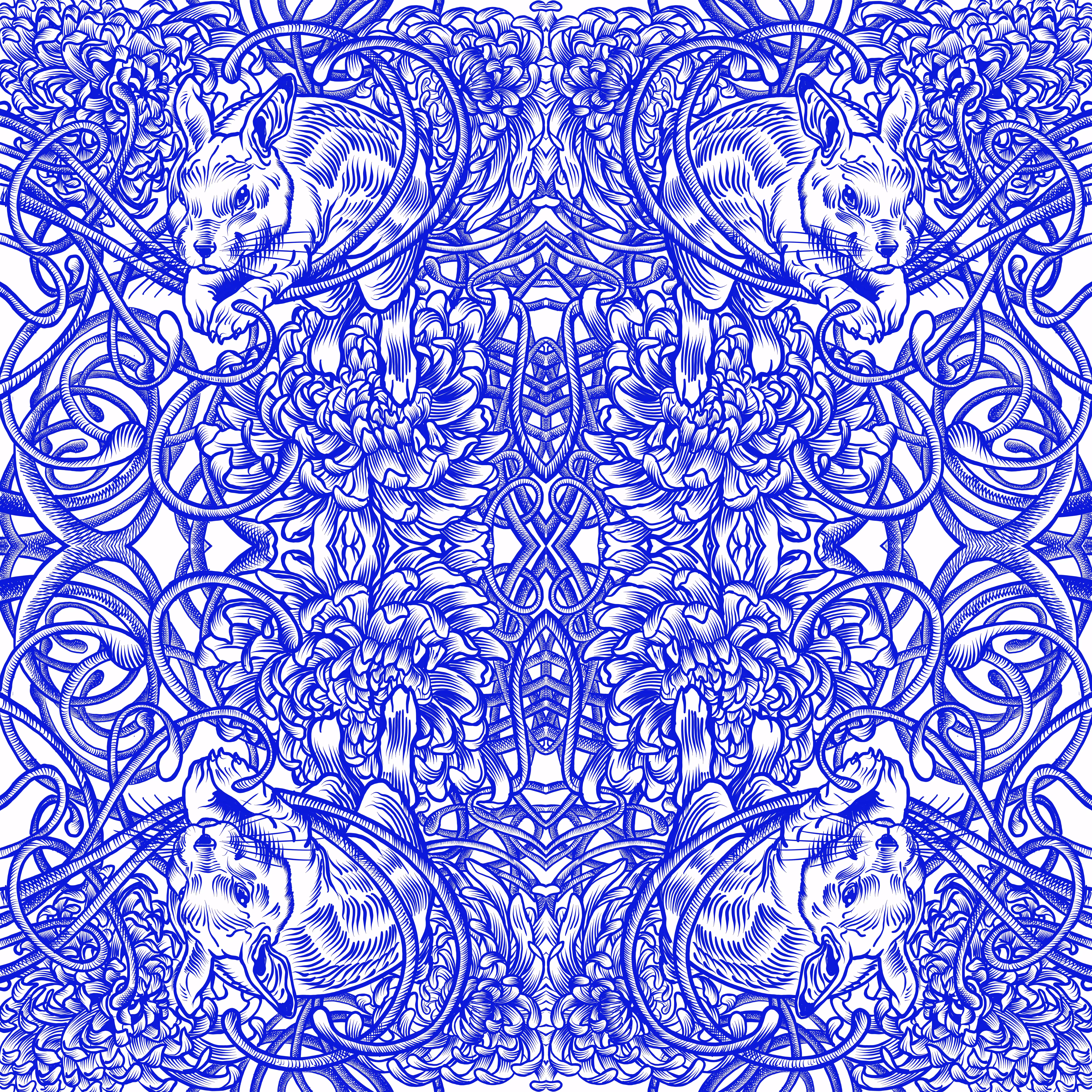 Rabbit