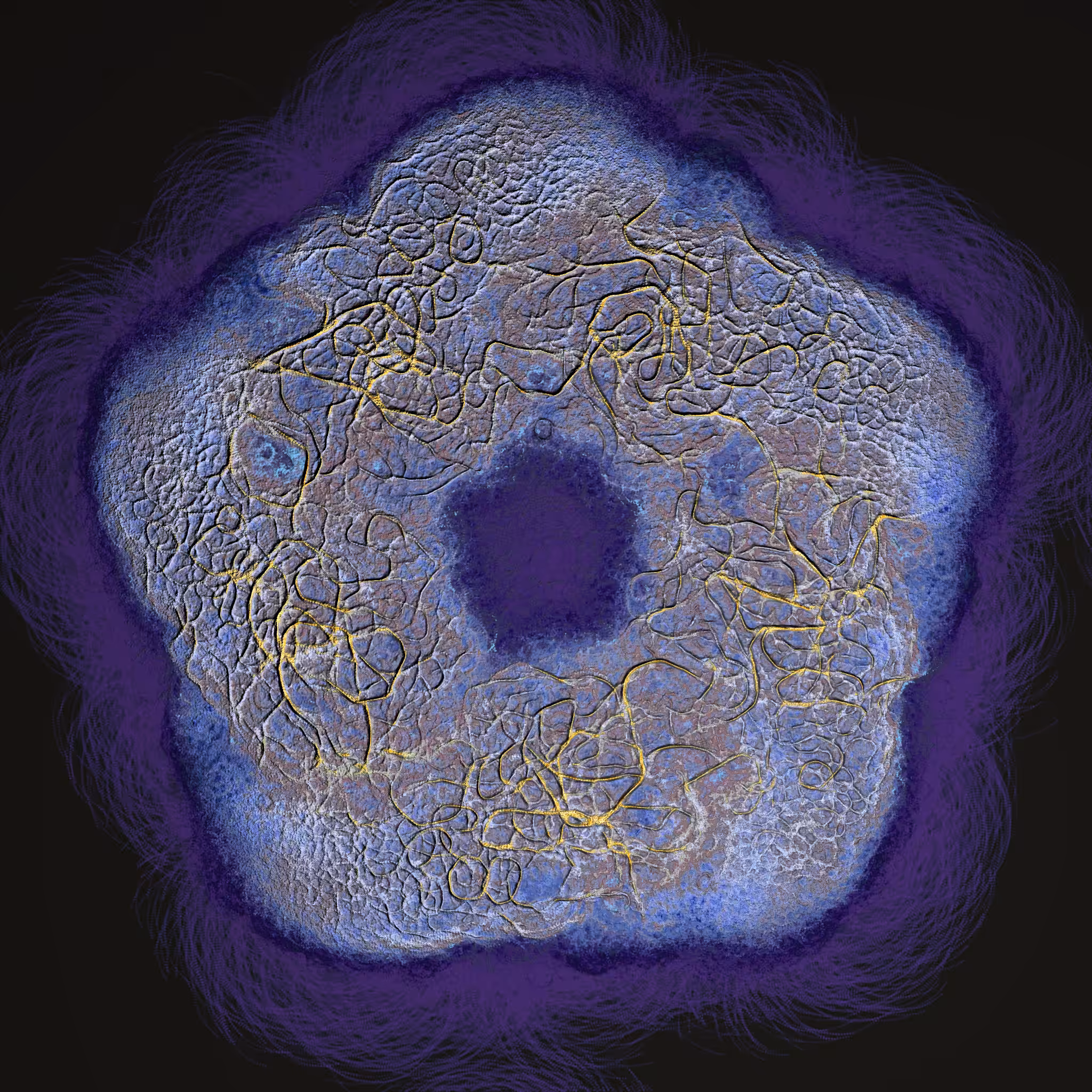coalescence #96