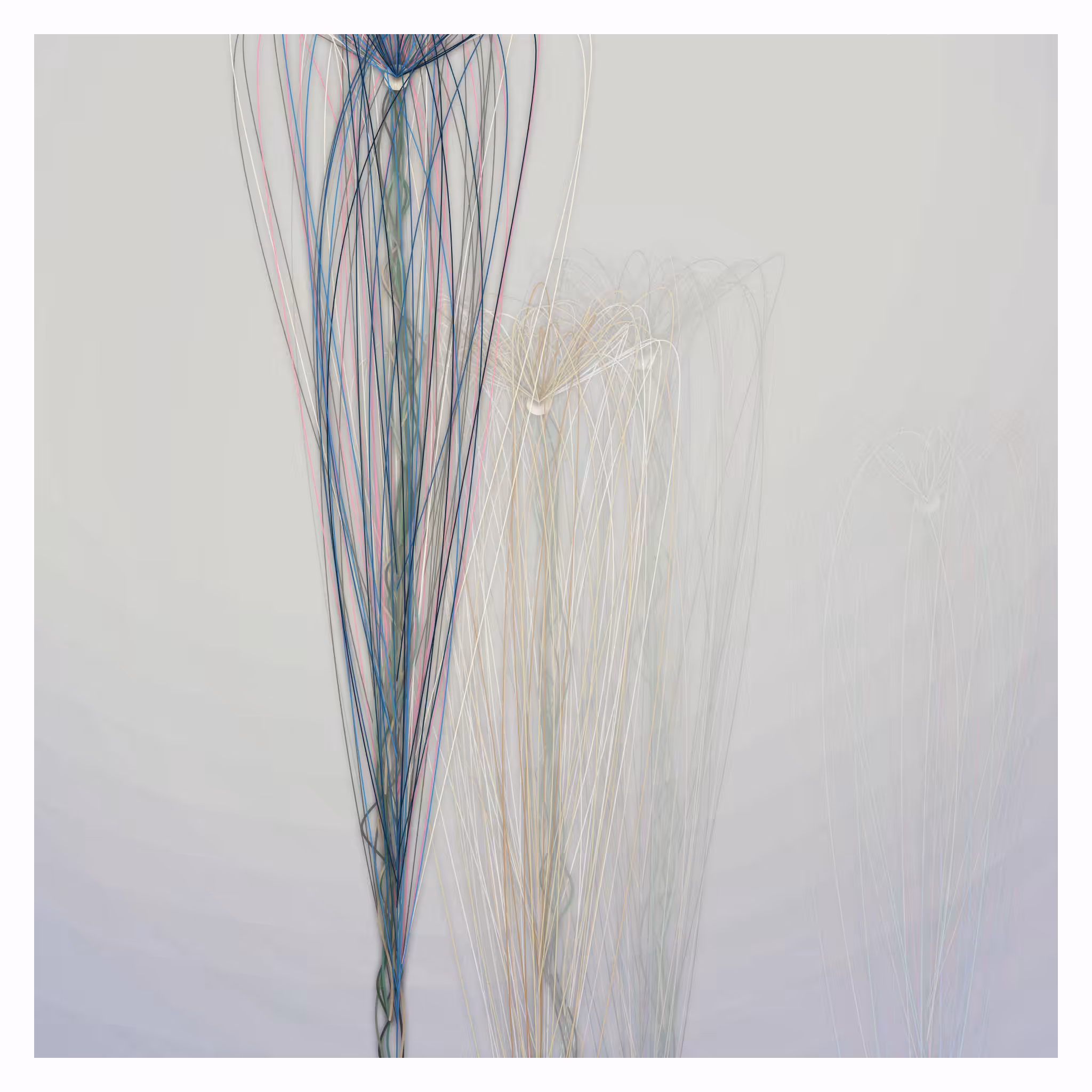 antigen #97