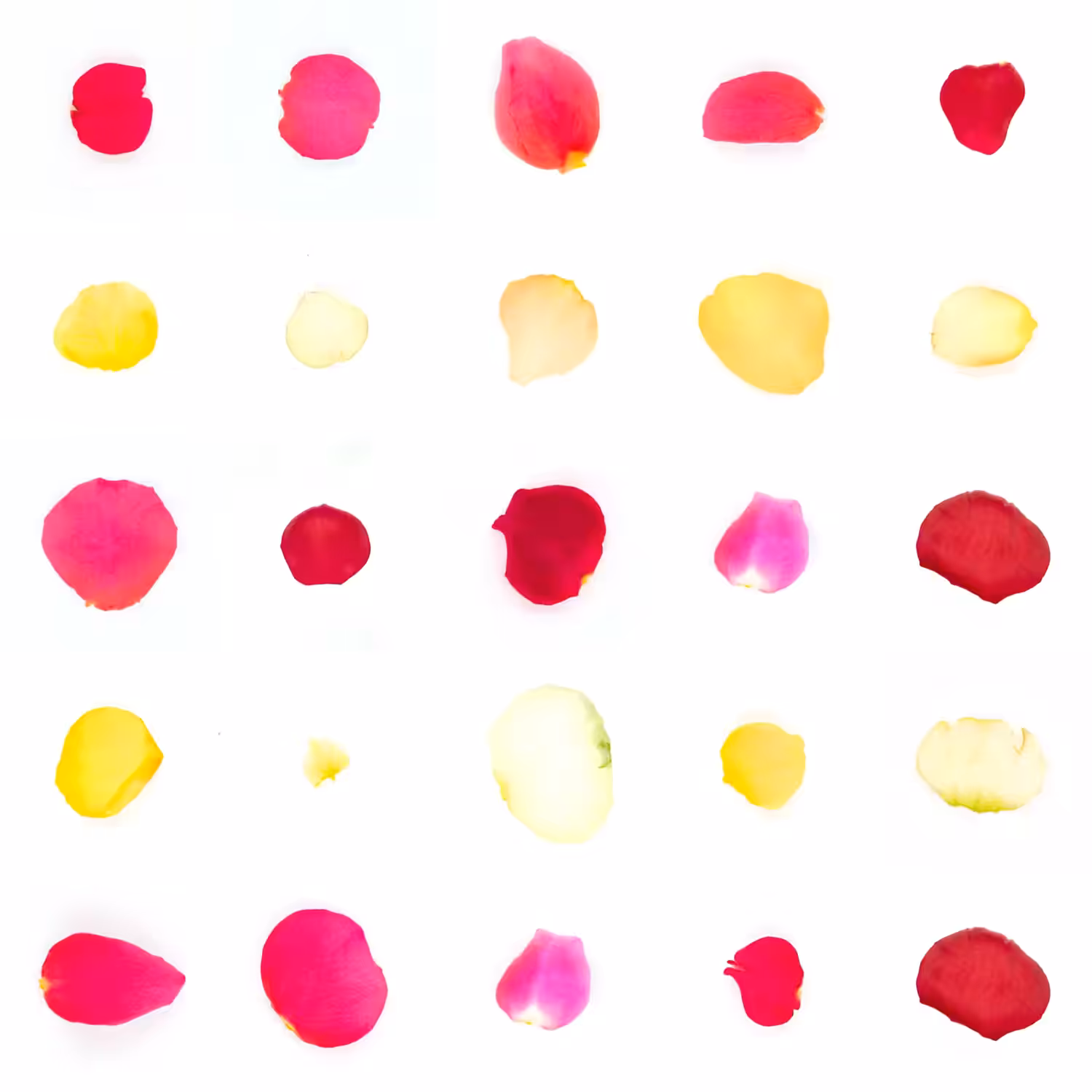 Infinite Petals 5x5#20729