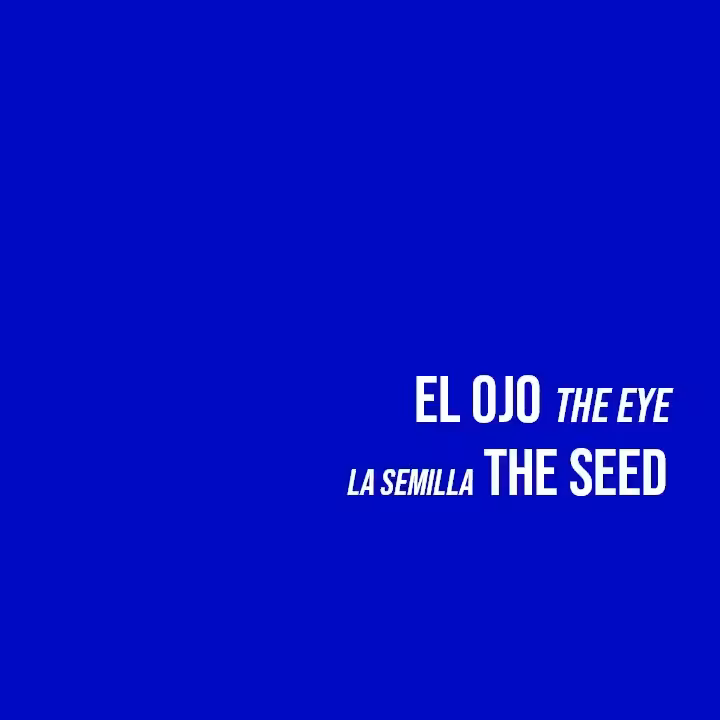 the eye / the seed