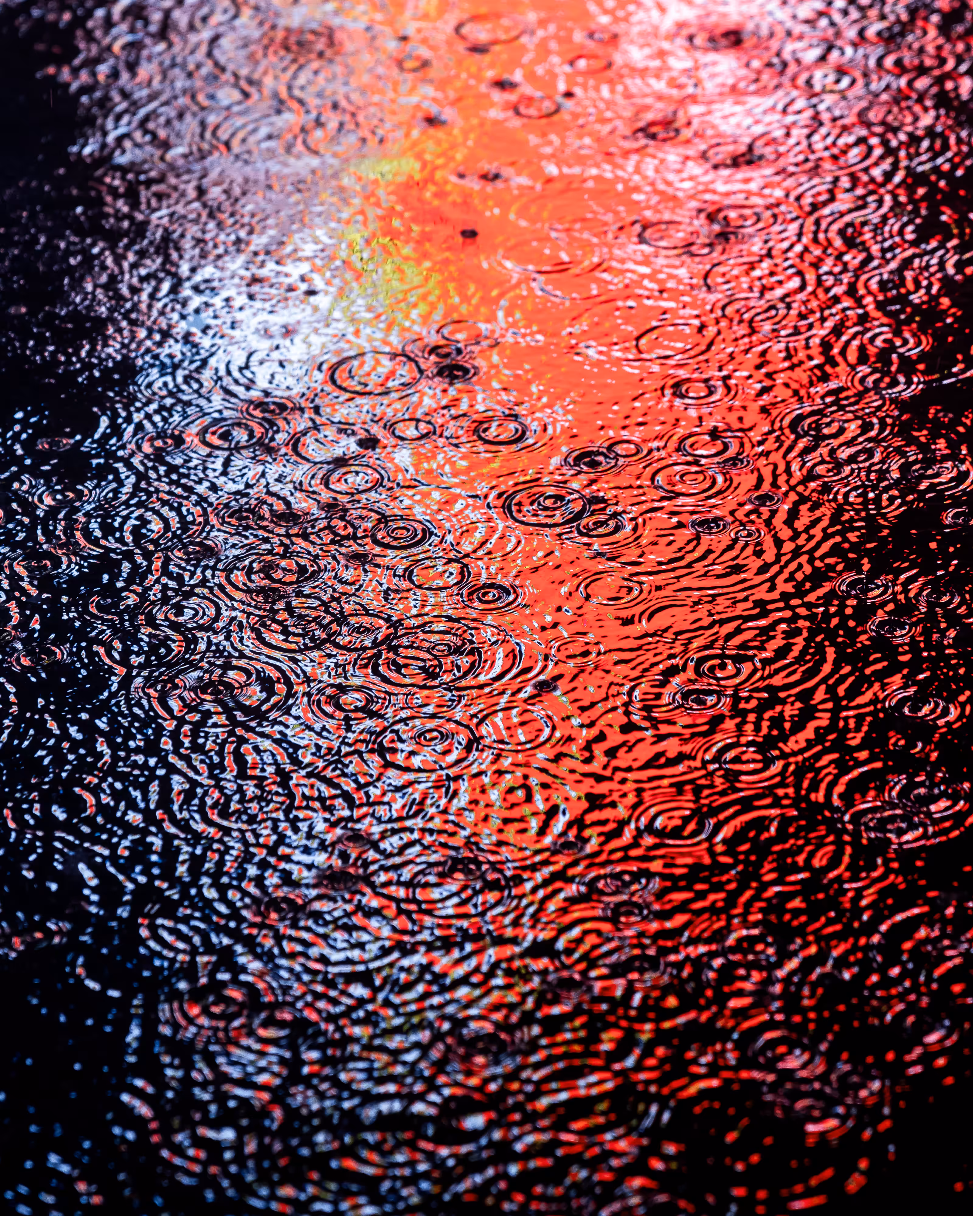 DRIP DROP: DRIP #62