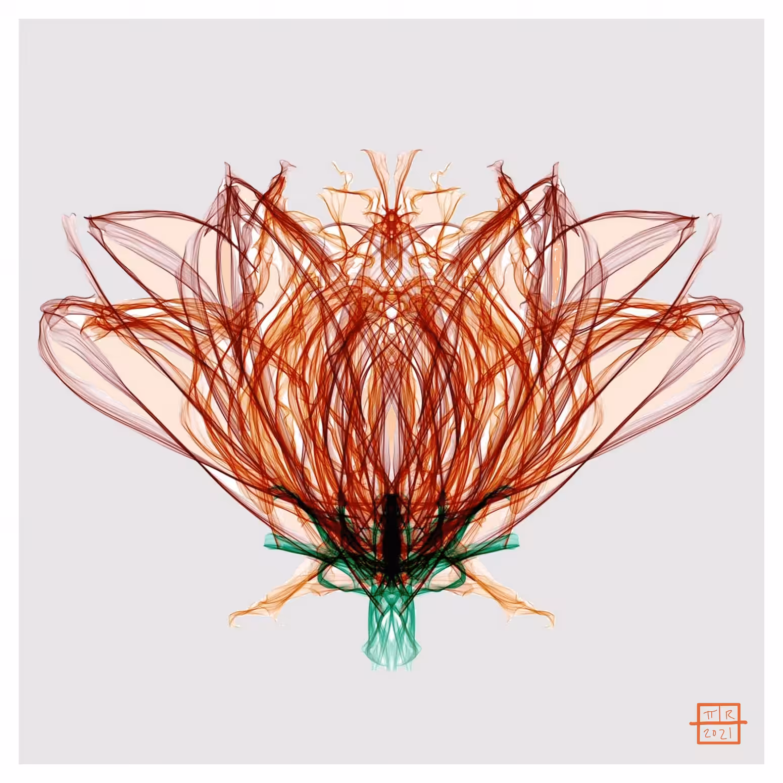 Chrysanthemum