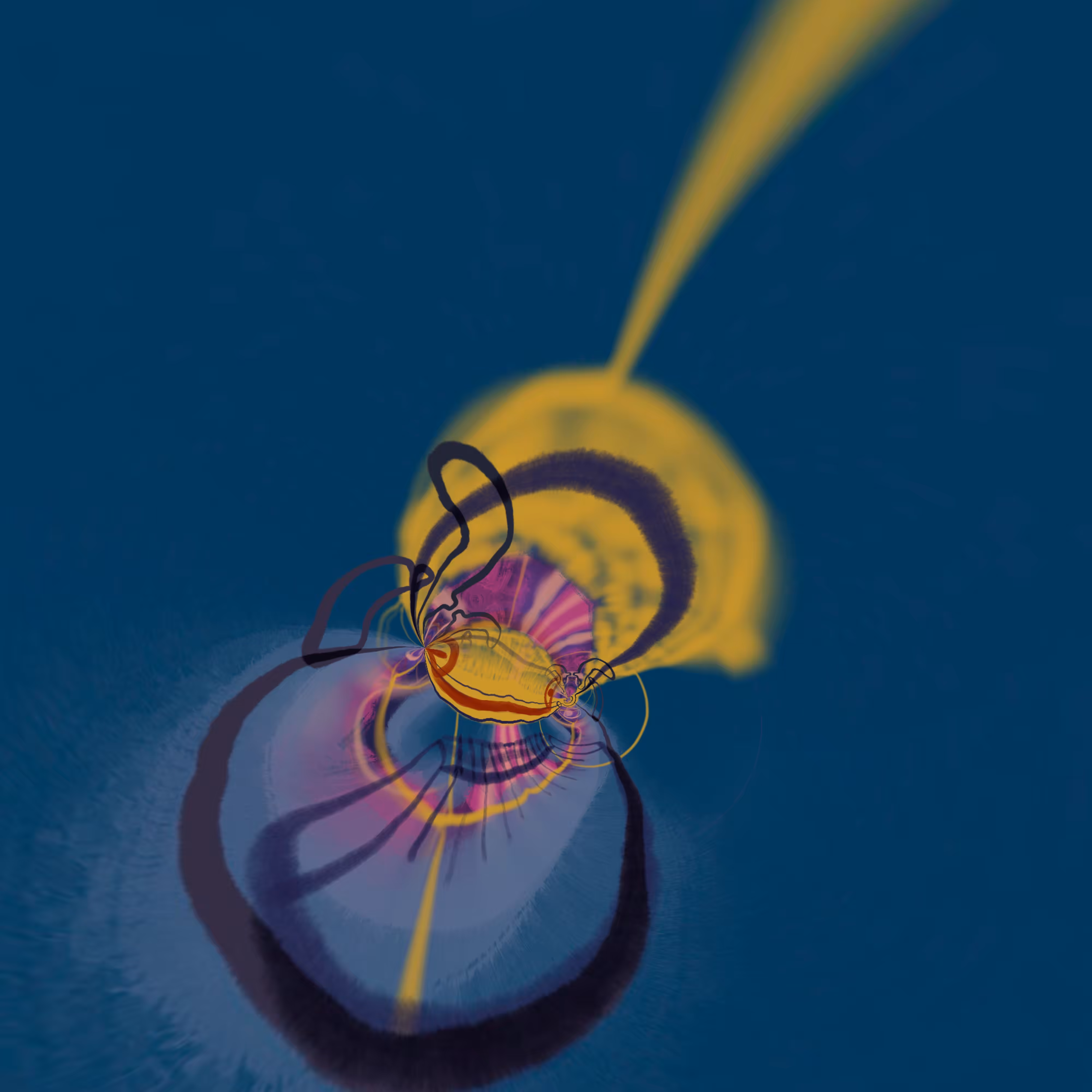 Beetle Moon