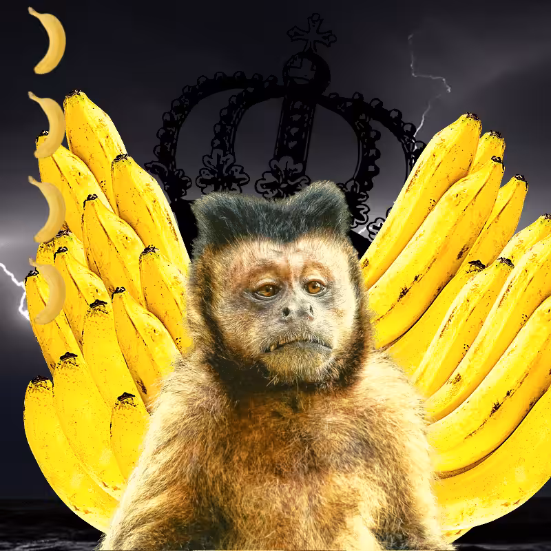 Banana gods #20