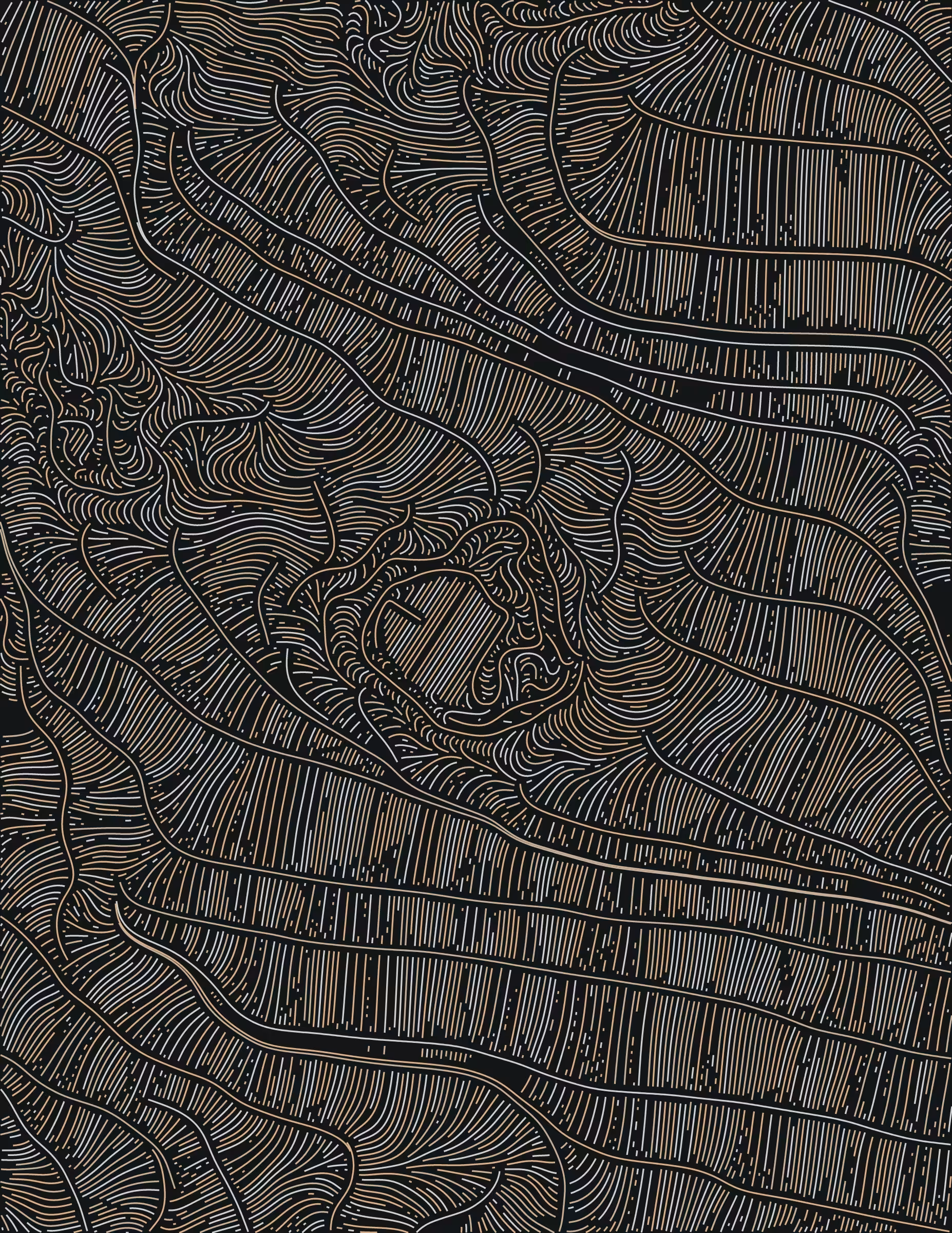 Streamlines #153