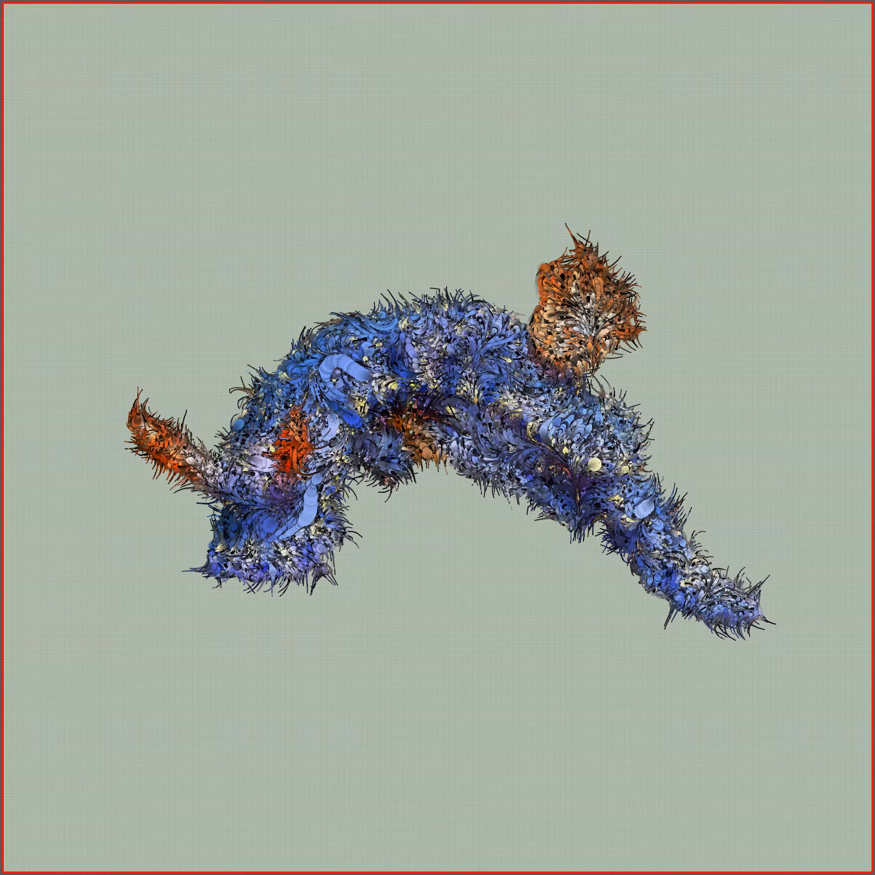 Nudibranch #5