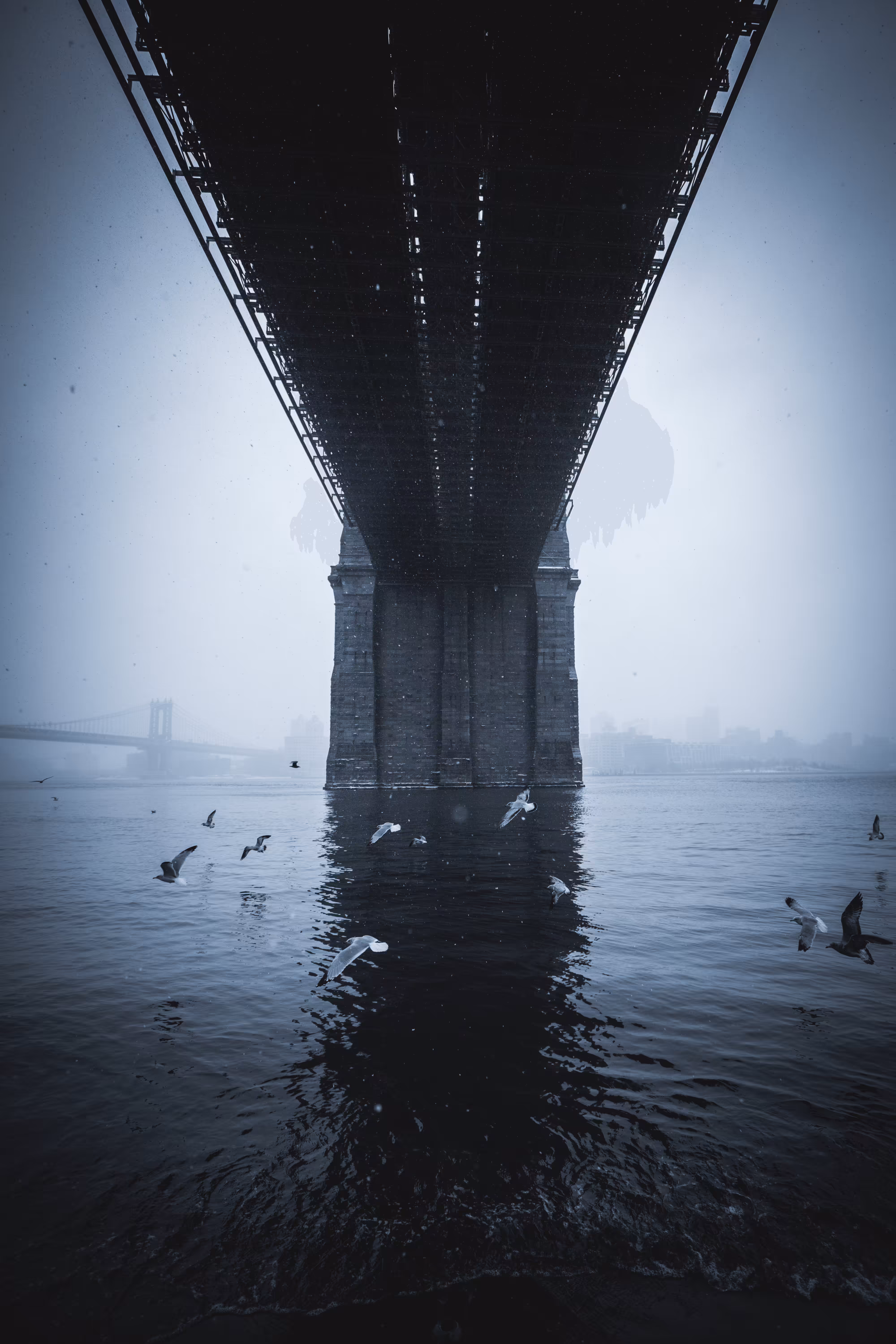 Snow Days In NYC - Airdrops