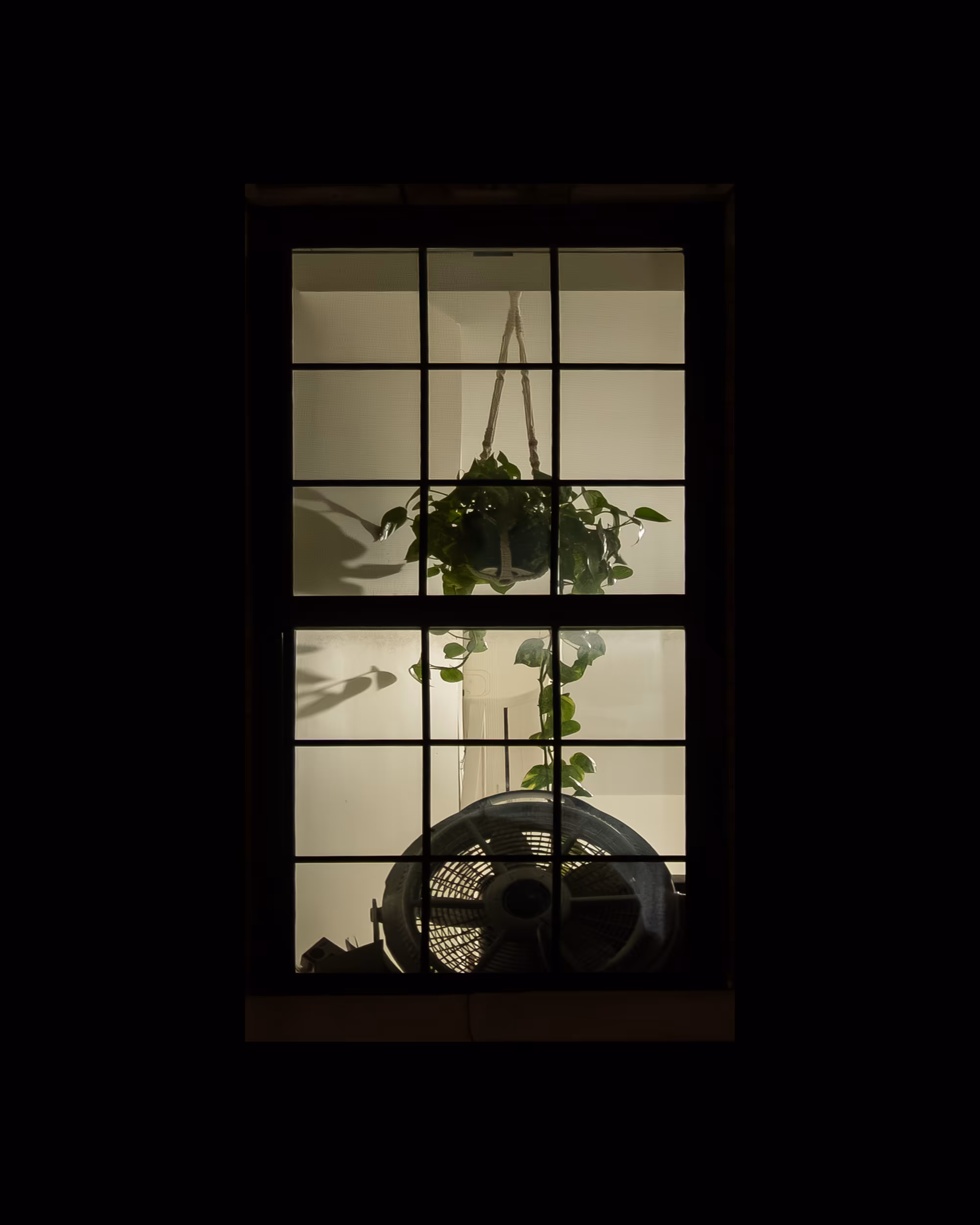 WINDOW 562