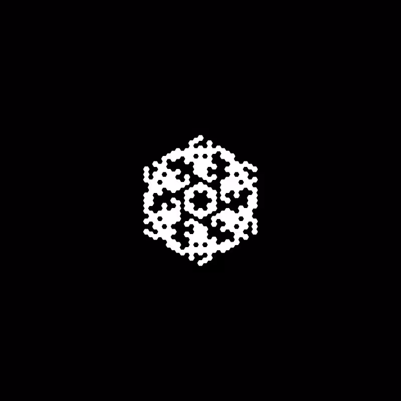 Snowflake #13