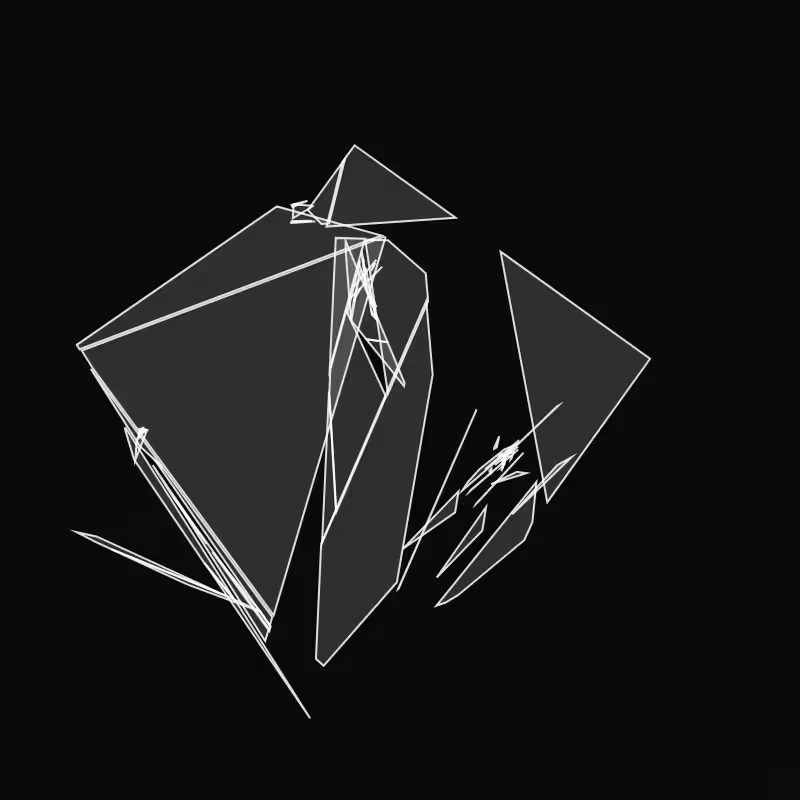 Fracture #217