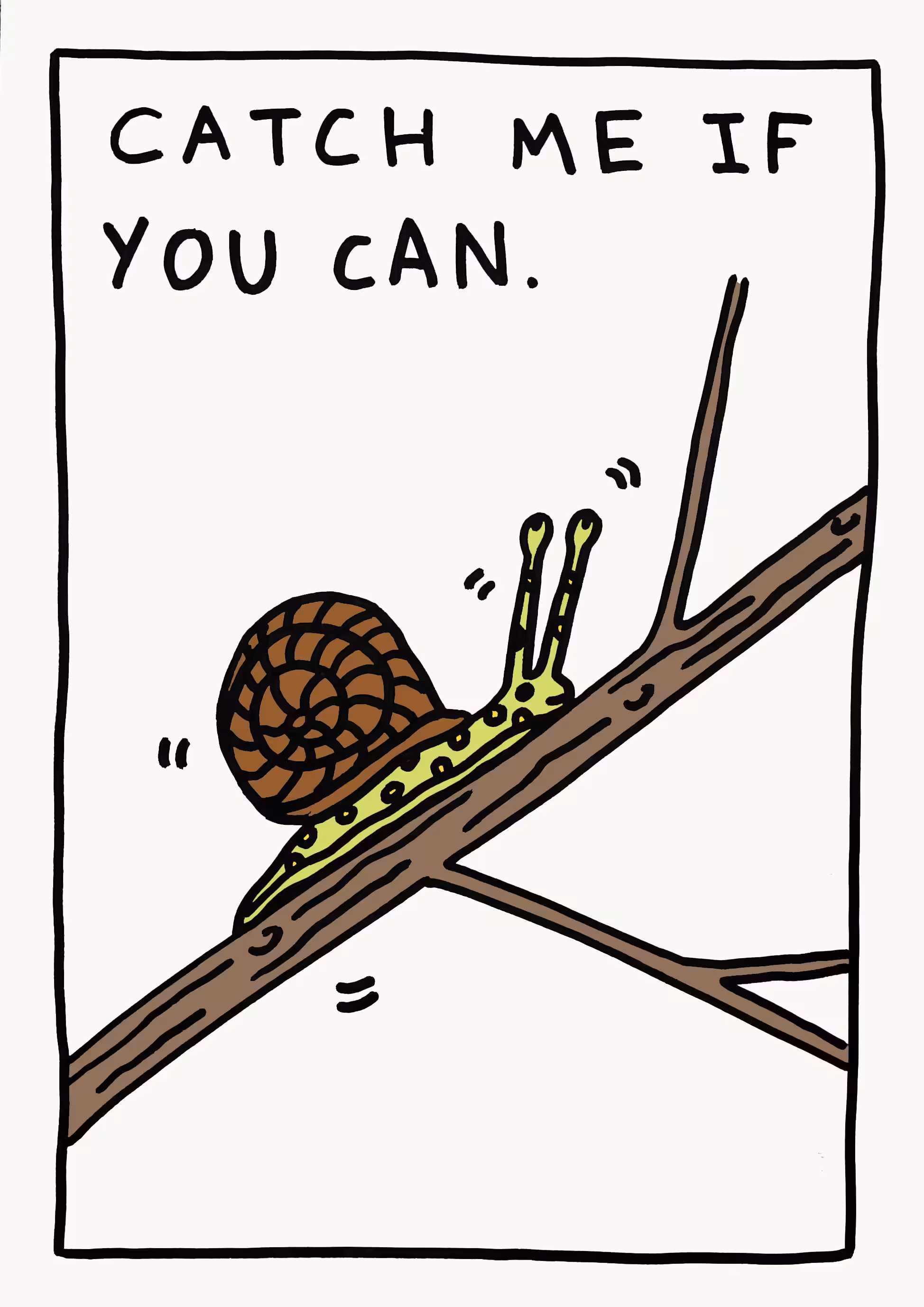 CATCH ME IF YOU CAN