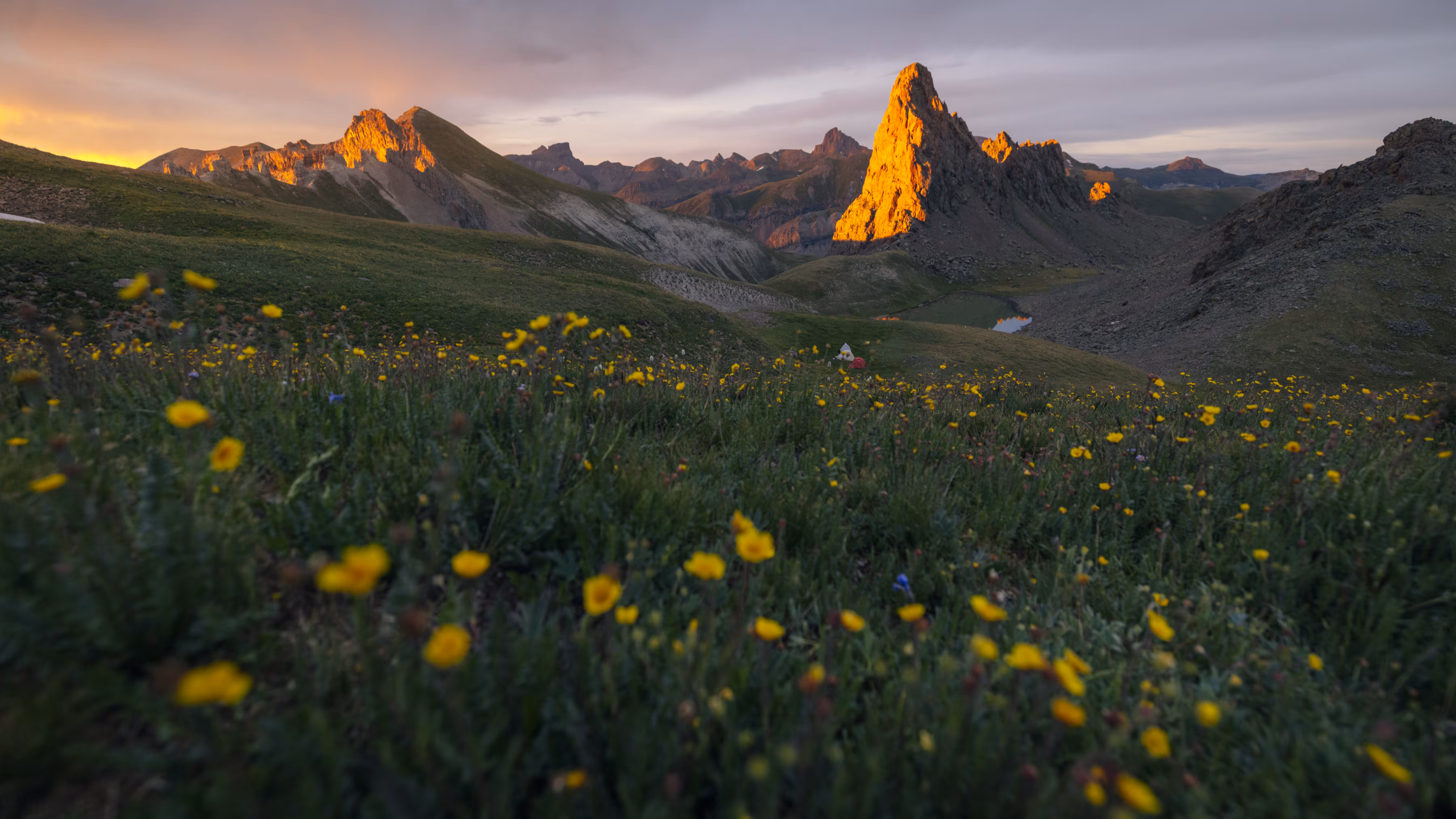 The Last Light of Summer