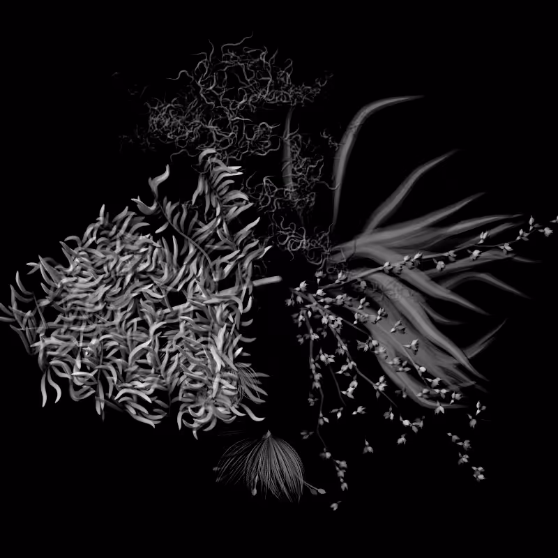 Botanical Ghosts #178